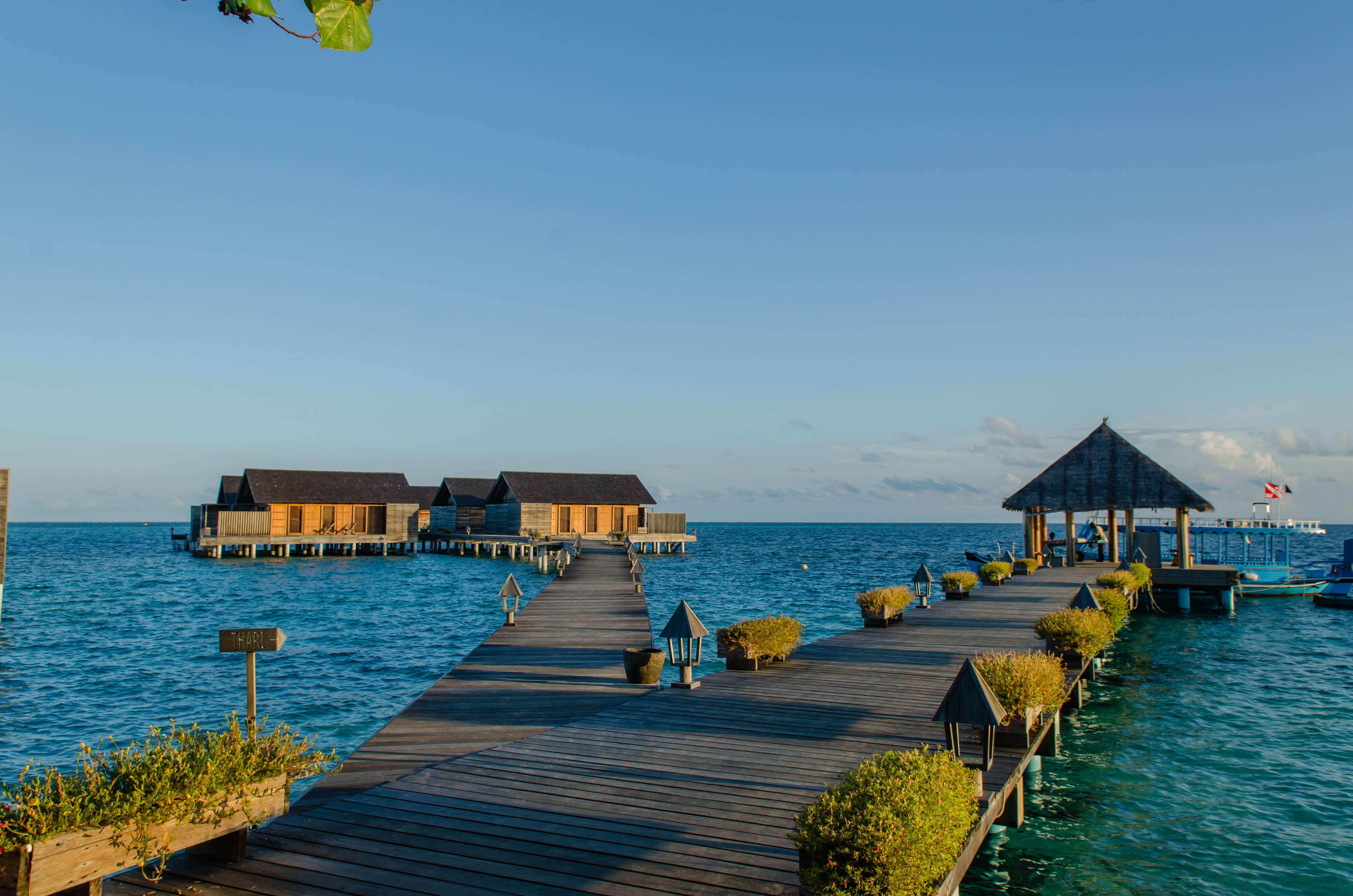 45 International Tour Packages For Senior Citizens- Upto 50% Off