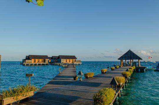 45 International Tour Packages For Senior Citizens- Upto 50% Off