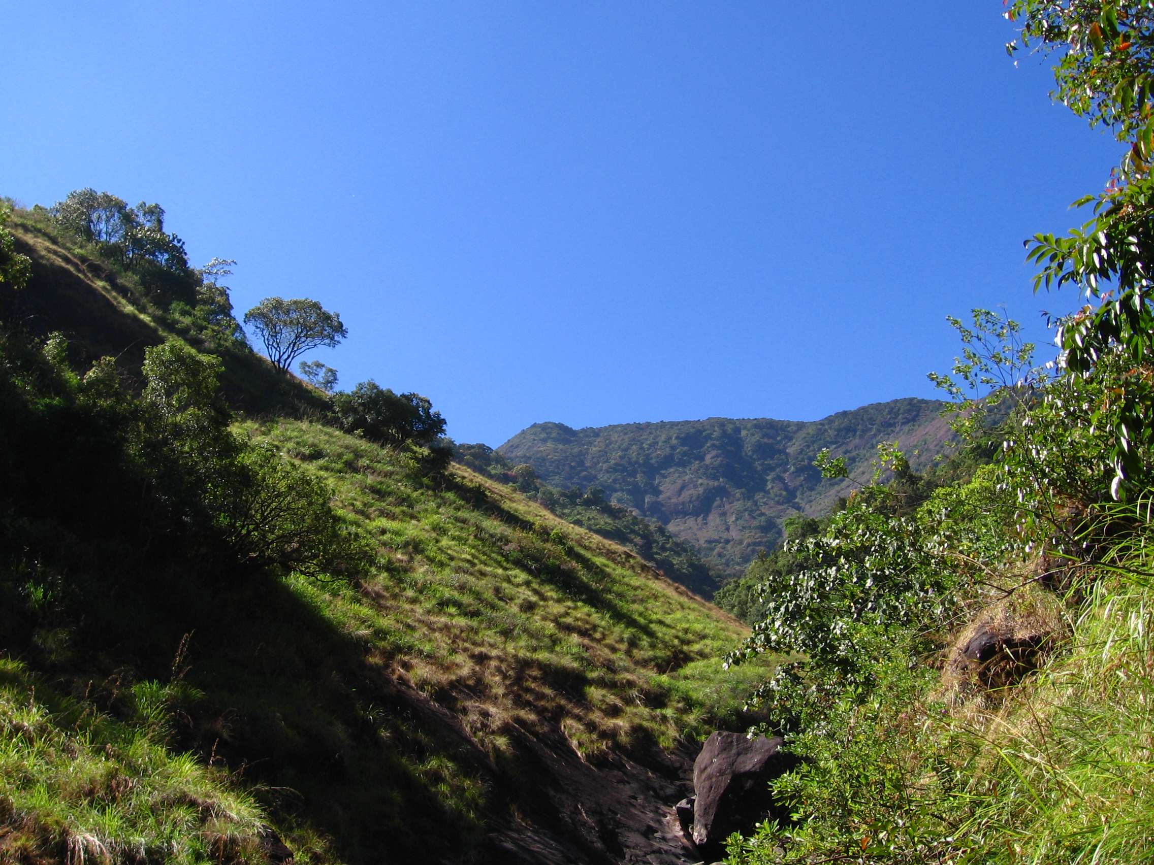 Vellarimala Hills