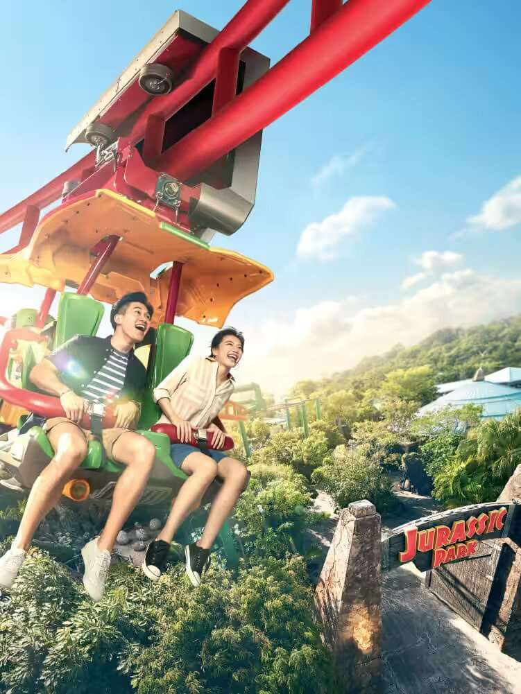 Steel-suspended Canopy Flyer Roller Coaster