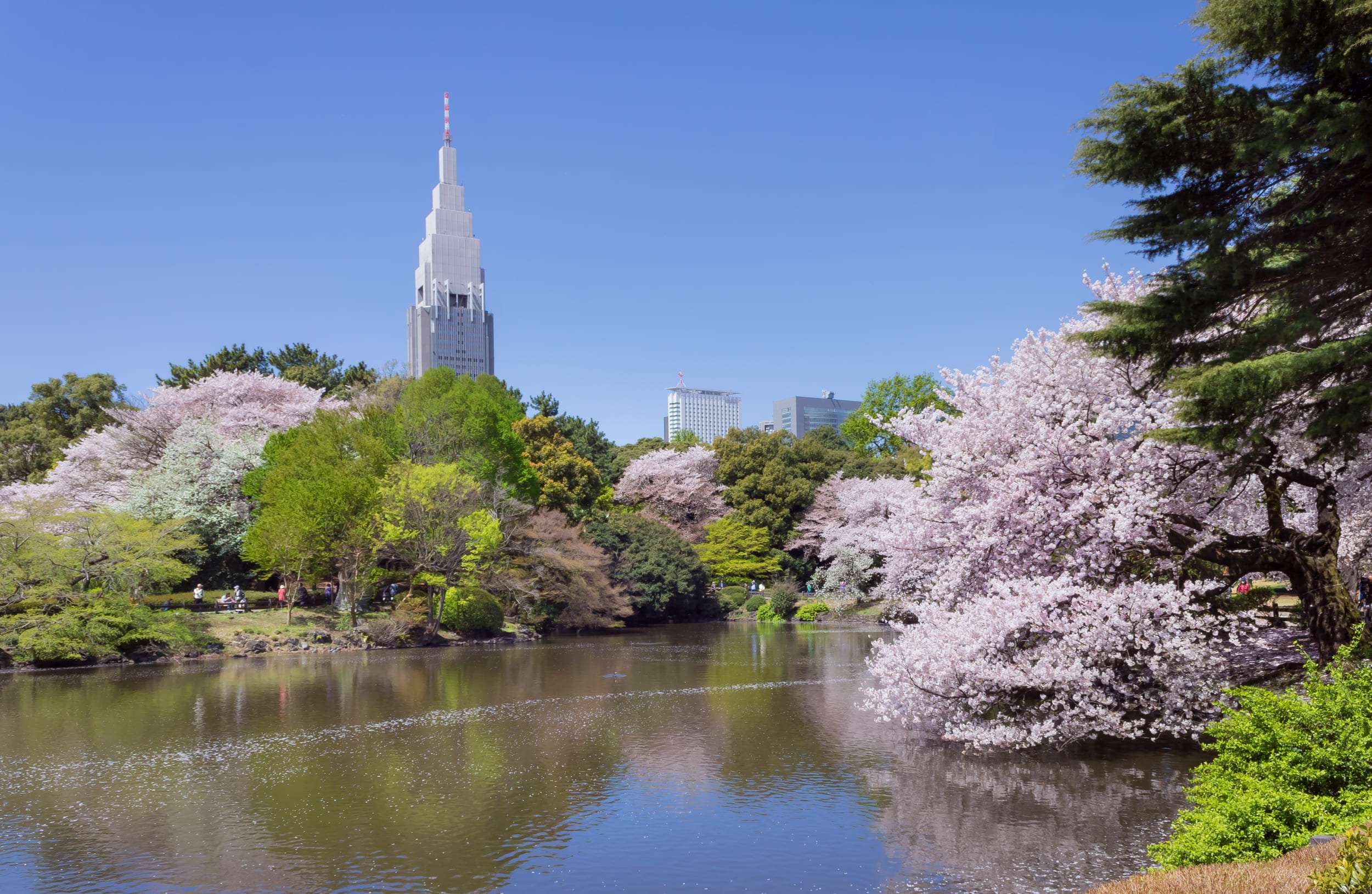 Shinjuku Gyoen, Tokyo