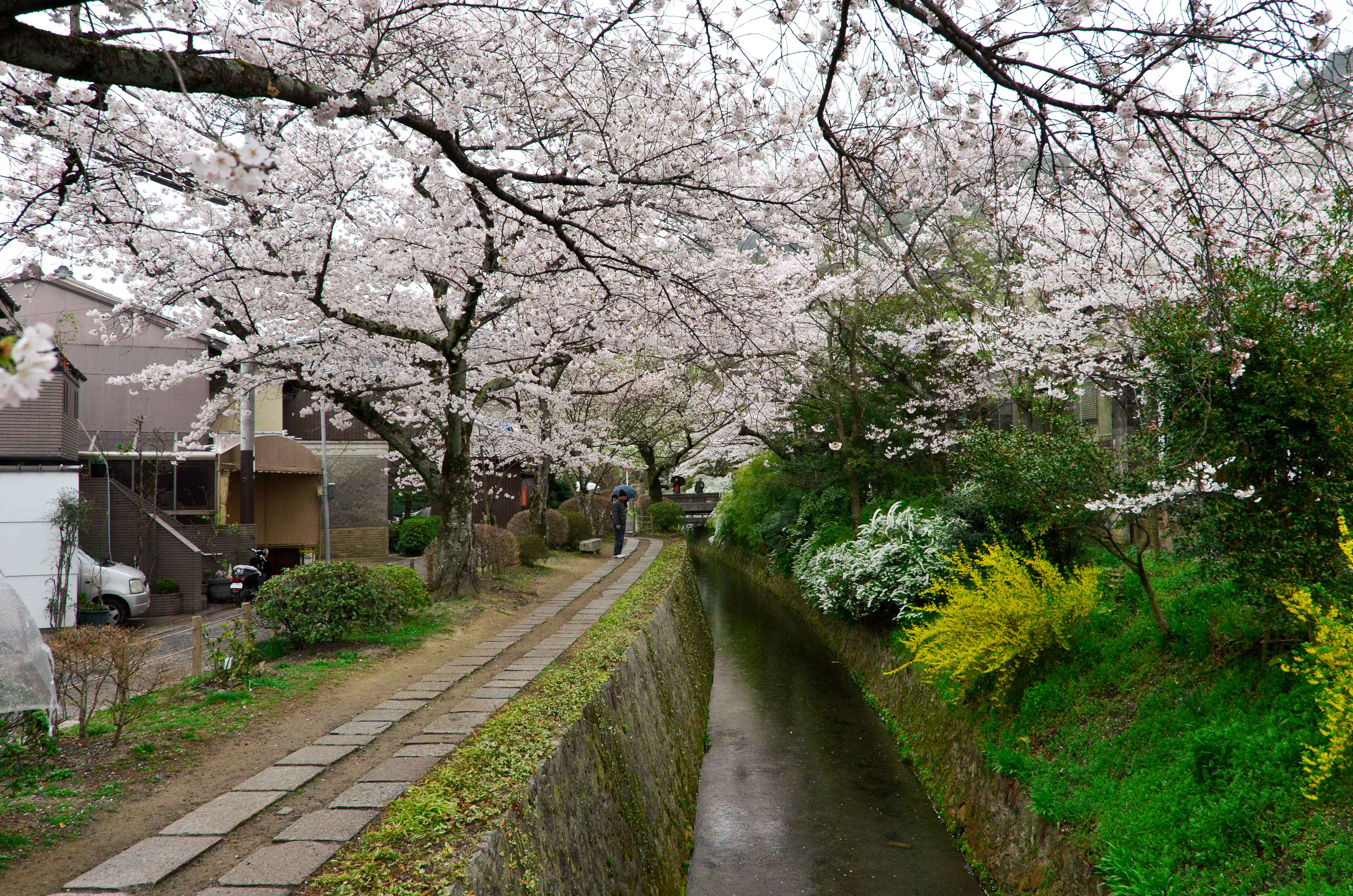 Philosopher’s Path, Kyoto