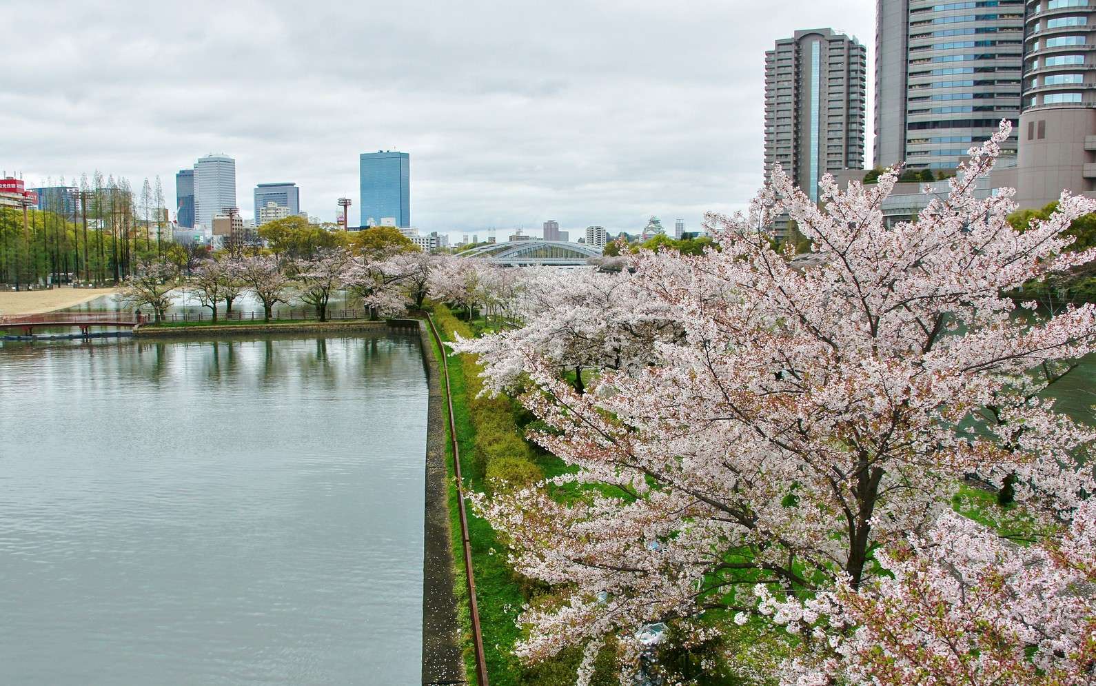 5 Must Visit Cherry Blossom Spots in Japan This Season