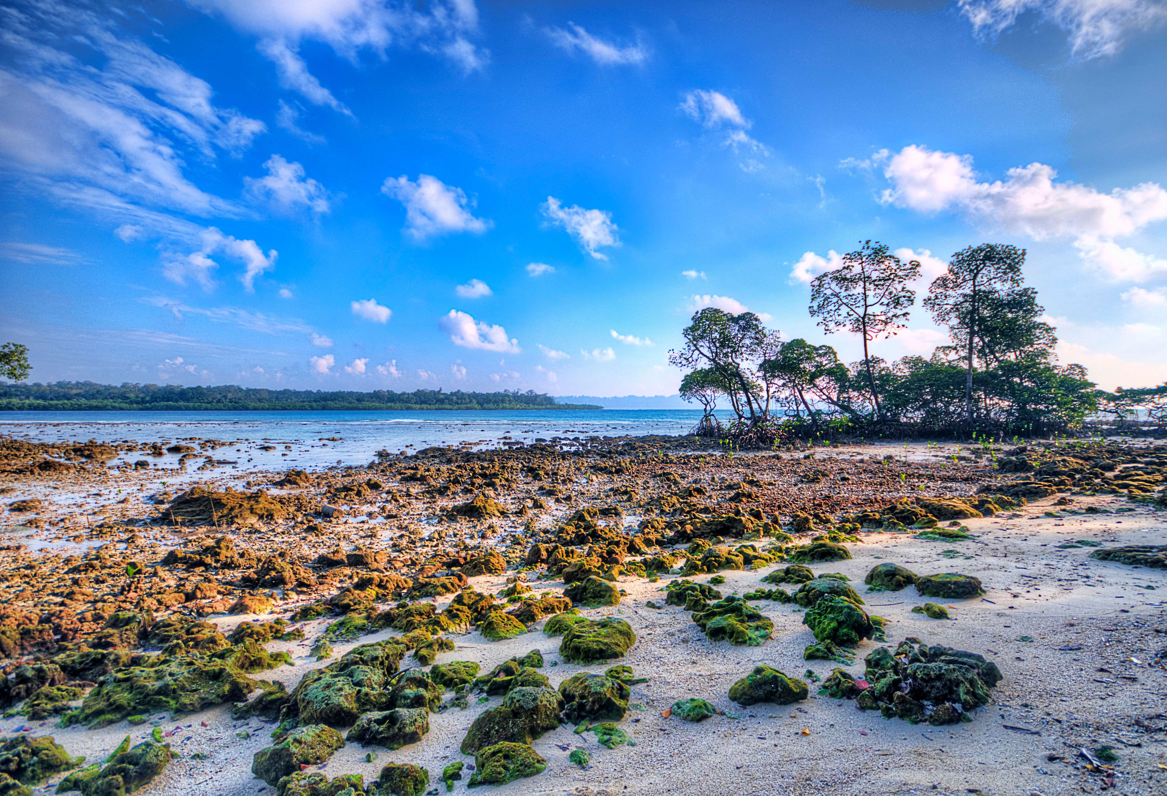 Cultural Festivals of Andaman in August 