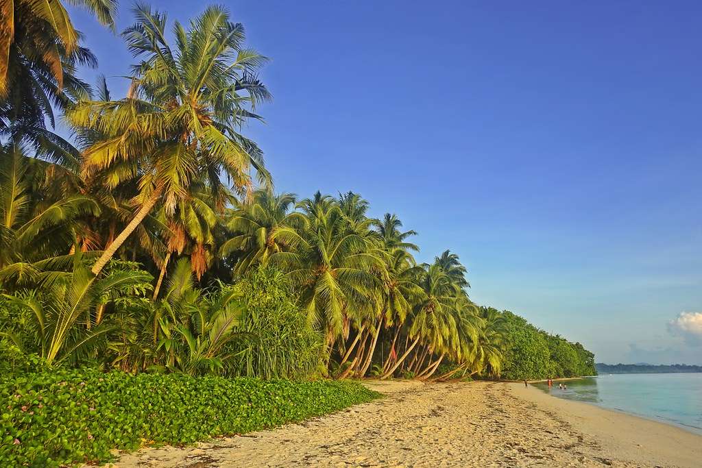 Why Visit Andaman in December