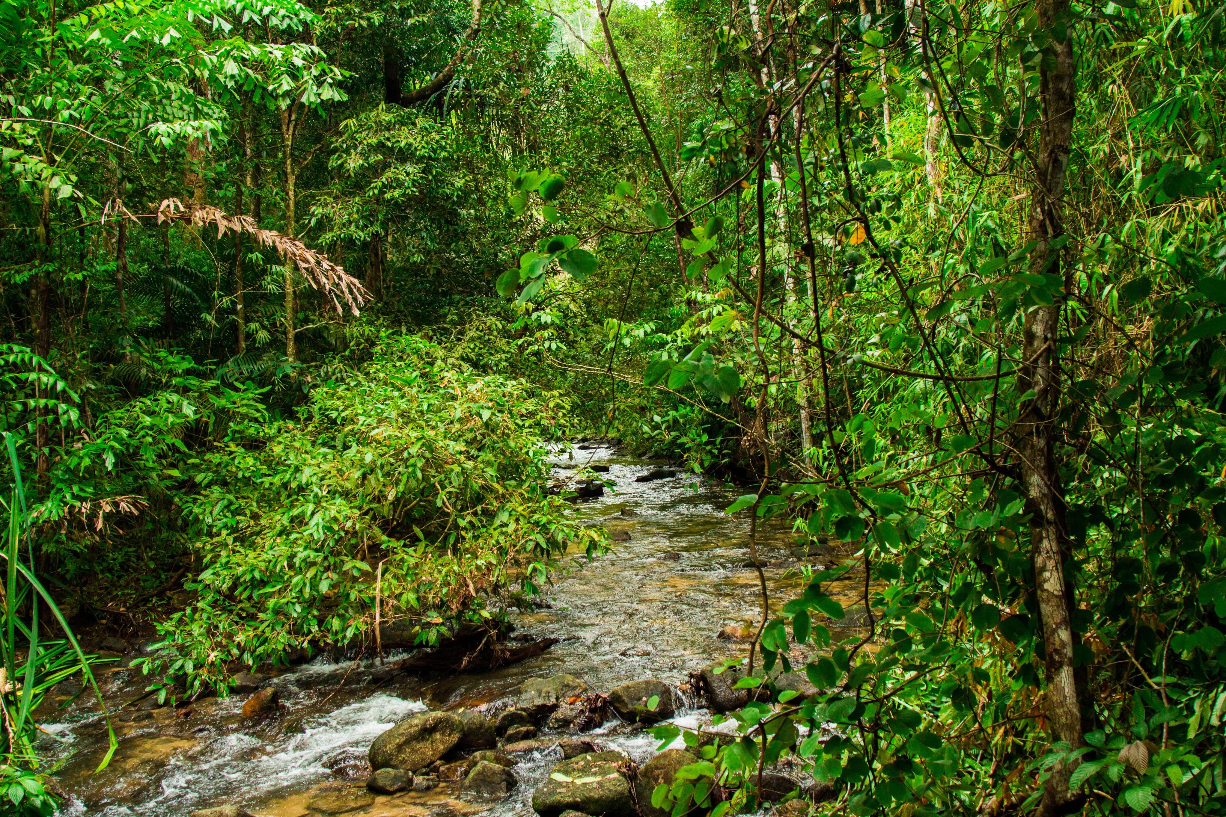 Koh Sok National Park