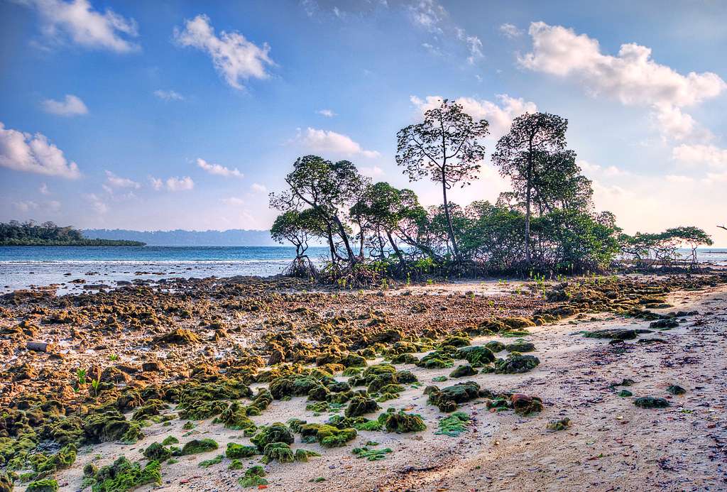 Why to Visit Andaman in October?