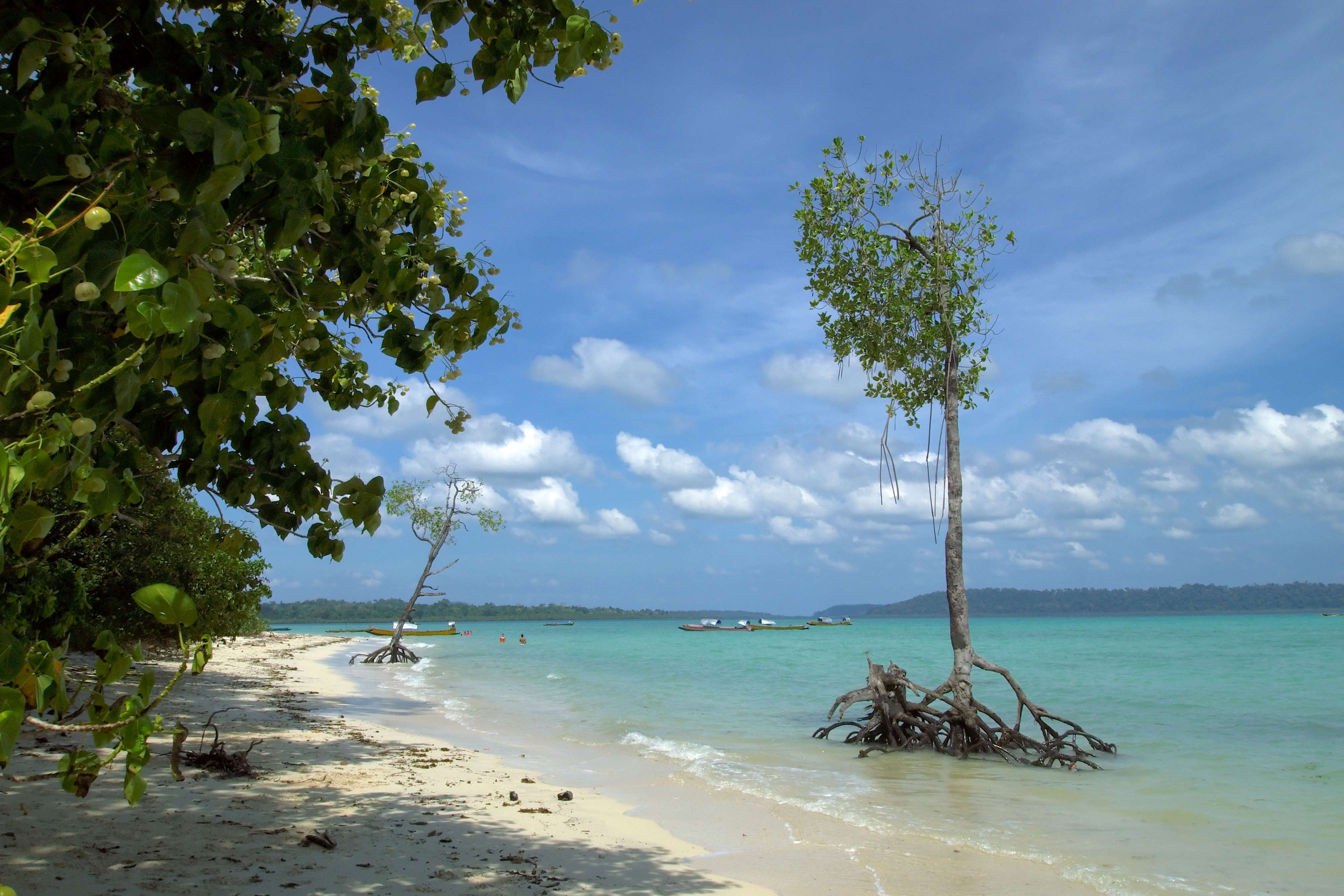 Havelock Island