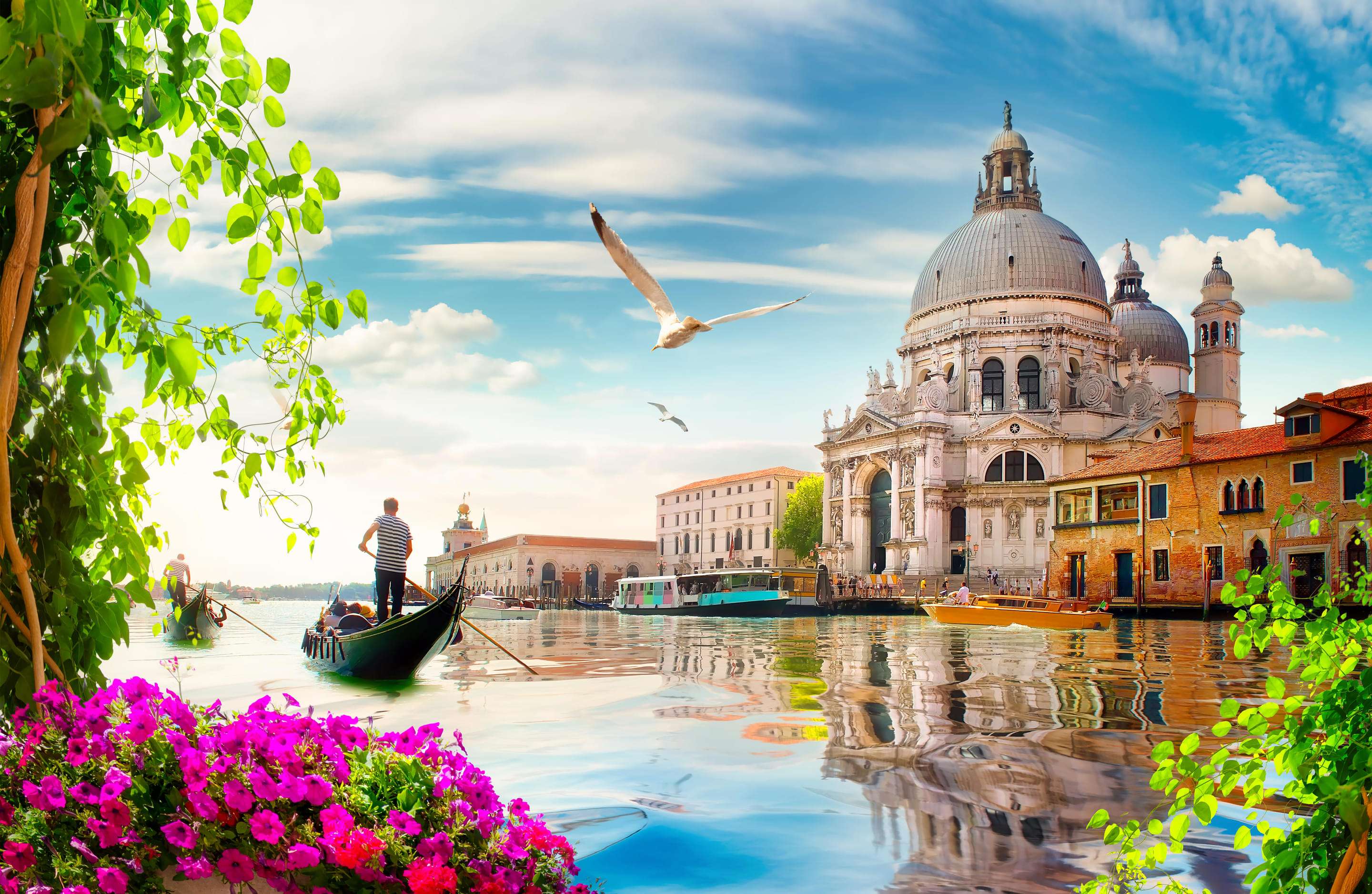 Explore the Canals of Venice
