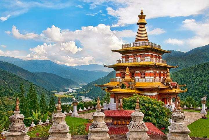 See Wildlife at Jigme Dorji National Park