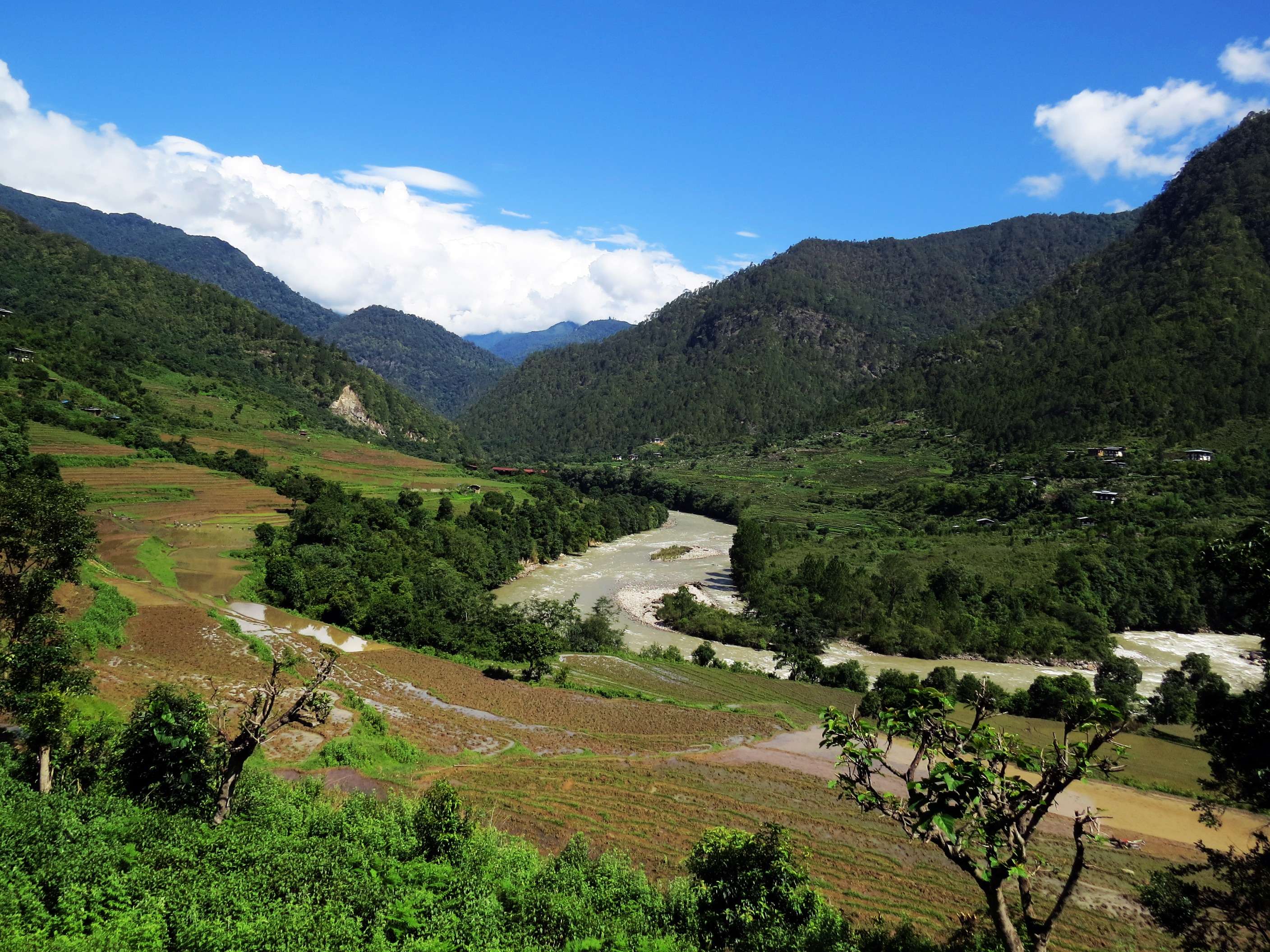 See Wildlife At Jigme Dorji National Park