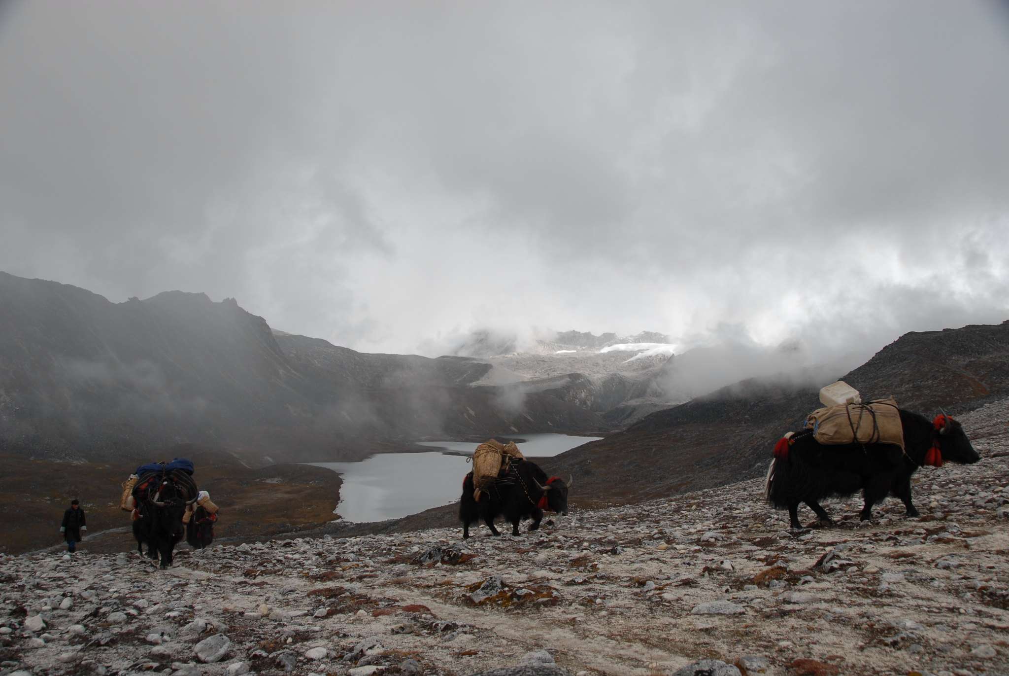 Go For A Snowman Trek