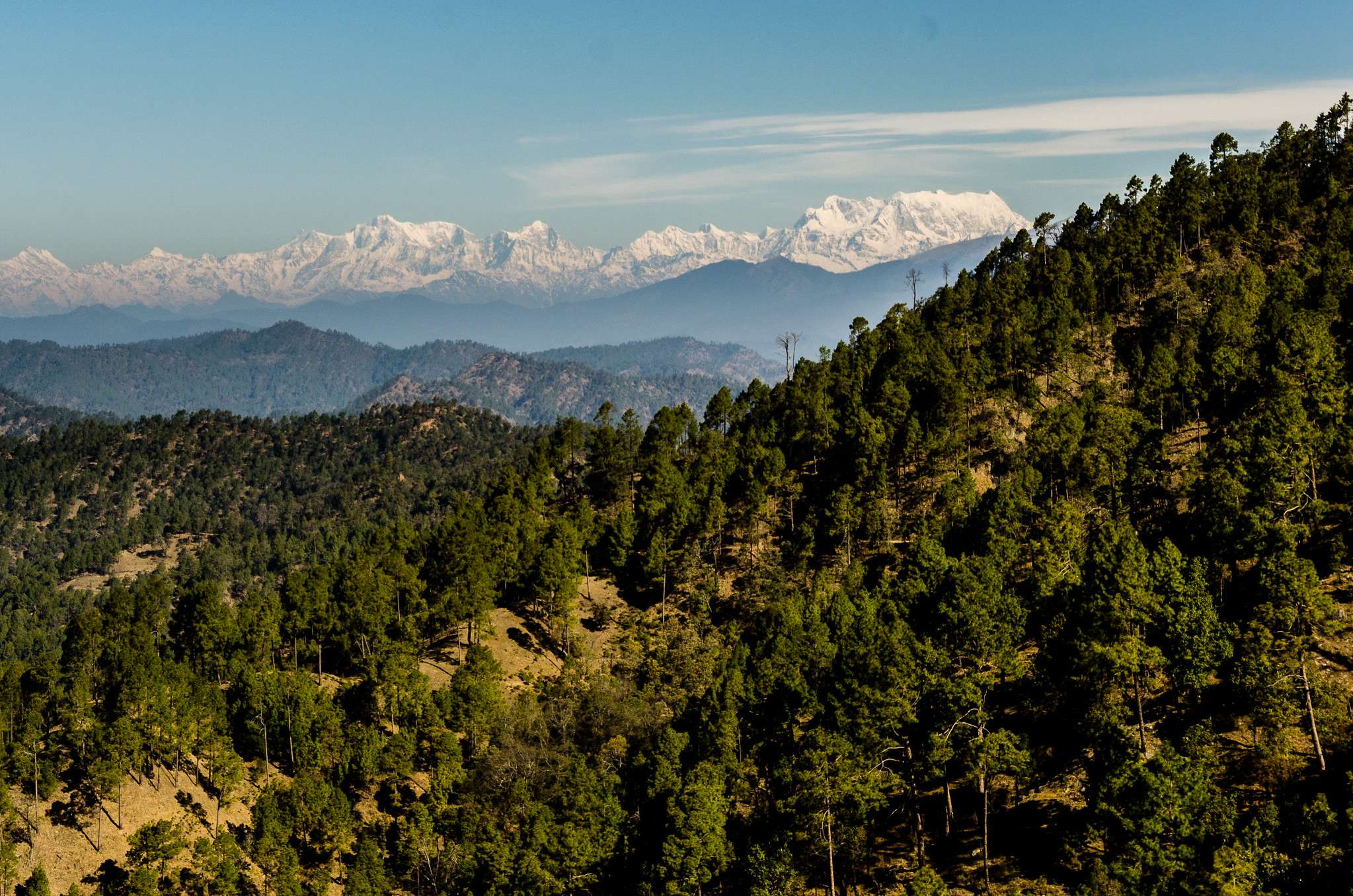 10 Things to Do in Binsar in Winter For A Fun Expedition