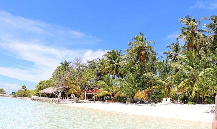 Why To Visit Andaman In February?