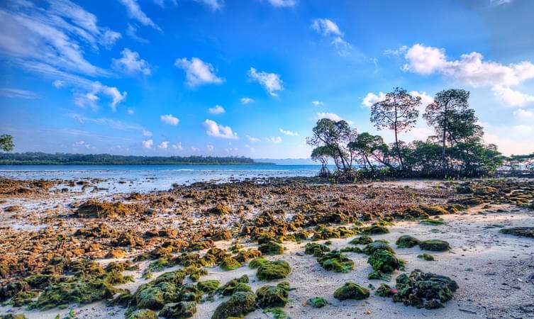 Travel Tips And Things To Remember