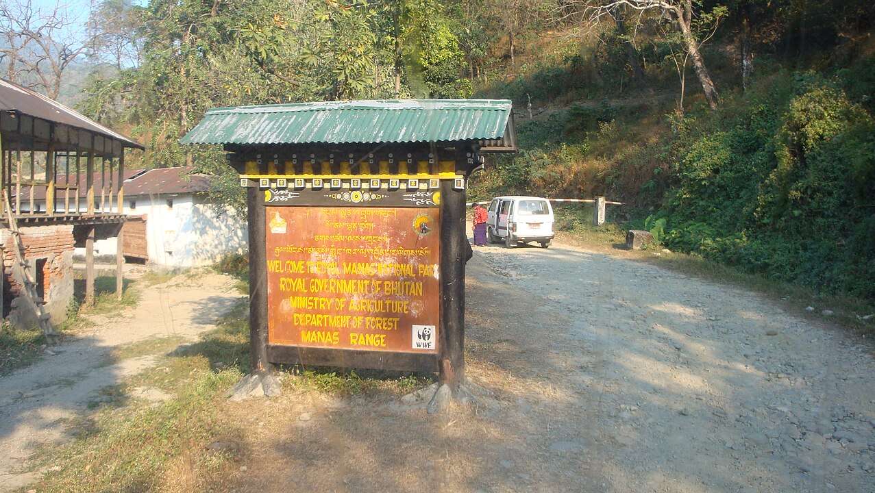 Explore Royal Manas National Park