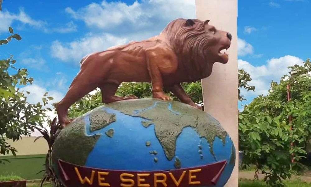 Have Fun At The Lion’s Park