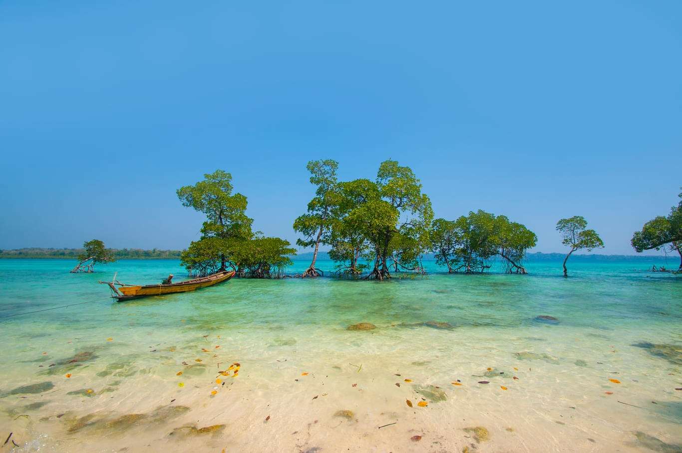 4 Days Andaman Itinerary: Plan A Perfect 4 Days Andaman Trip!