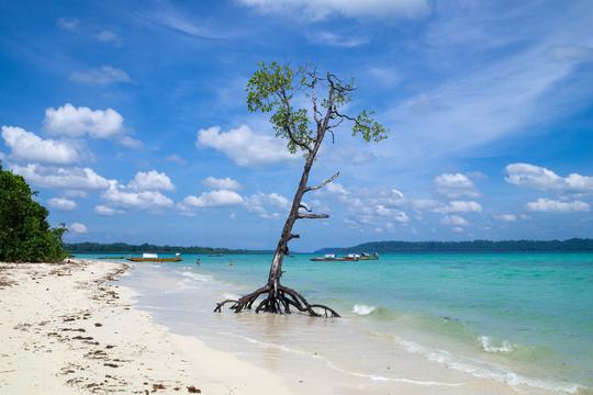Andaman in November | Places to See, Weather, Tips and More!