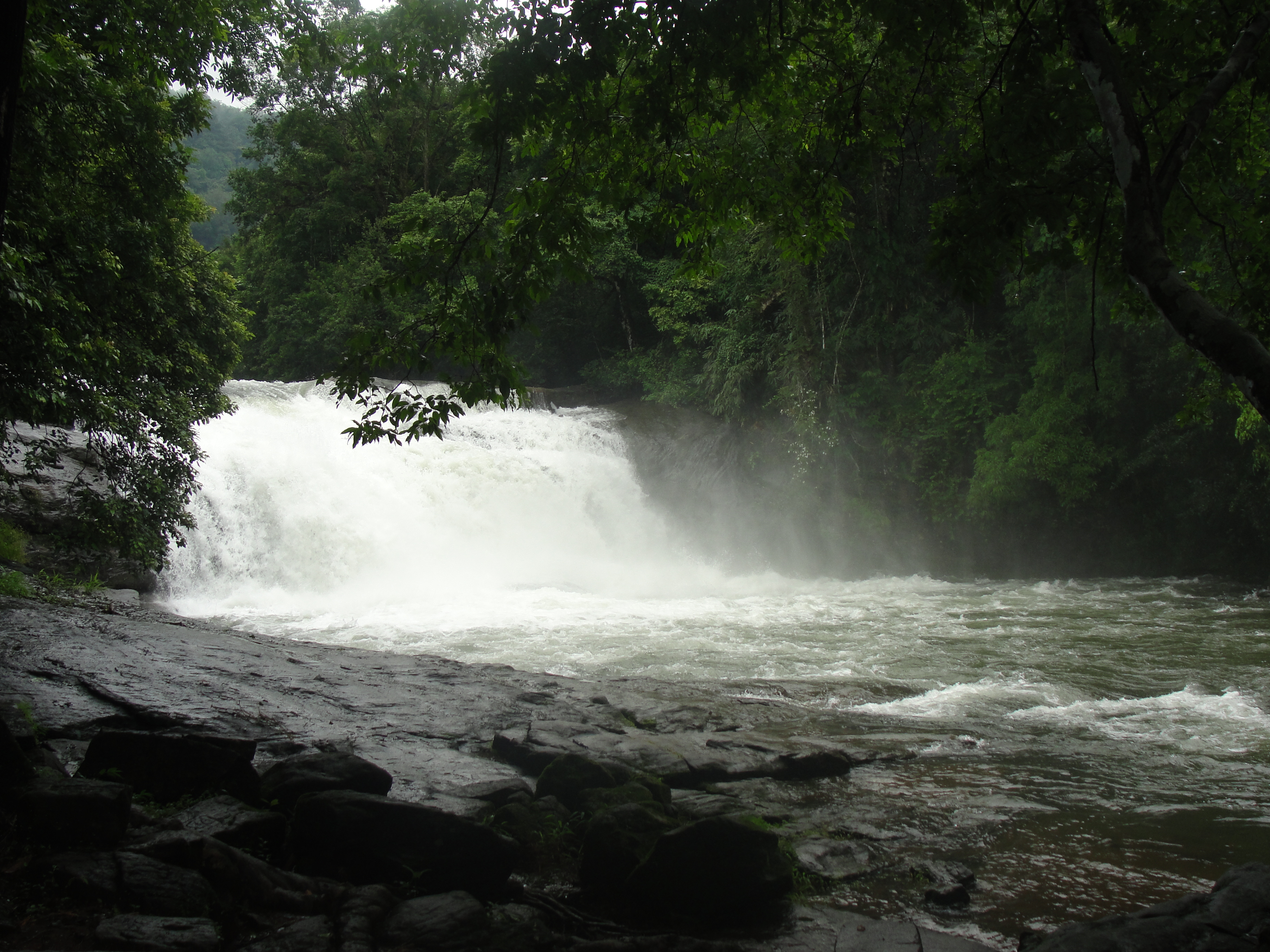 Thommankuthu Waterfalls