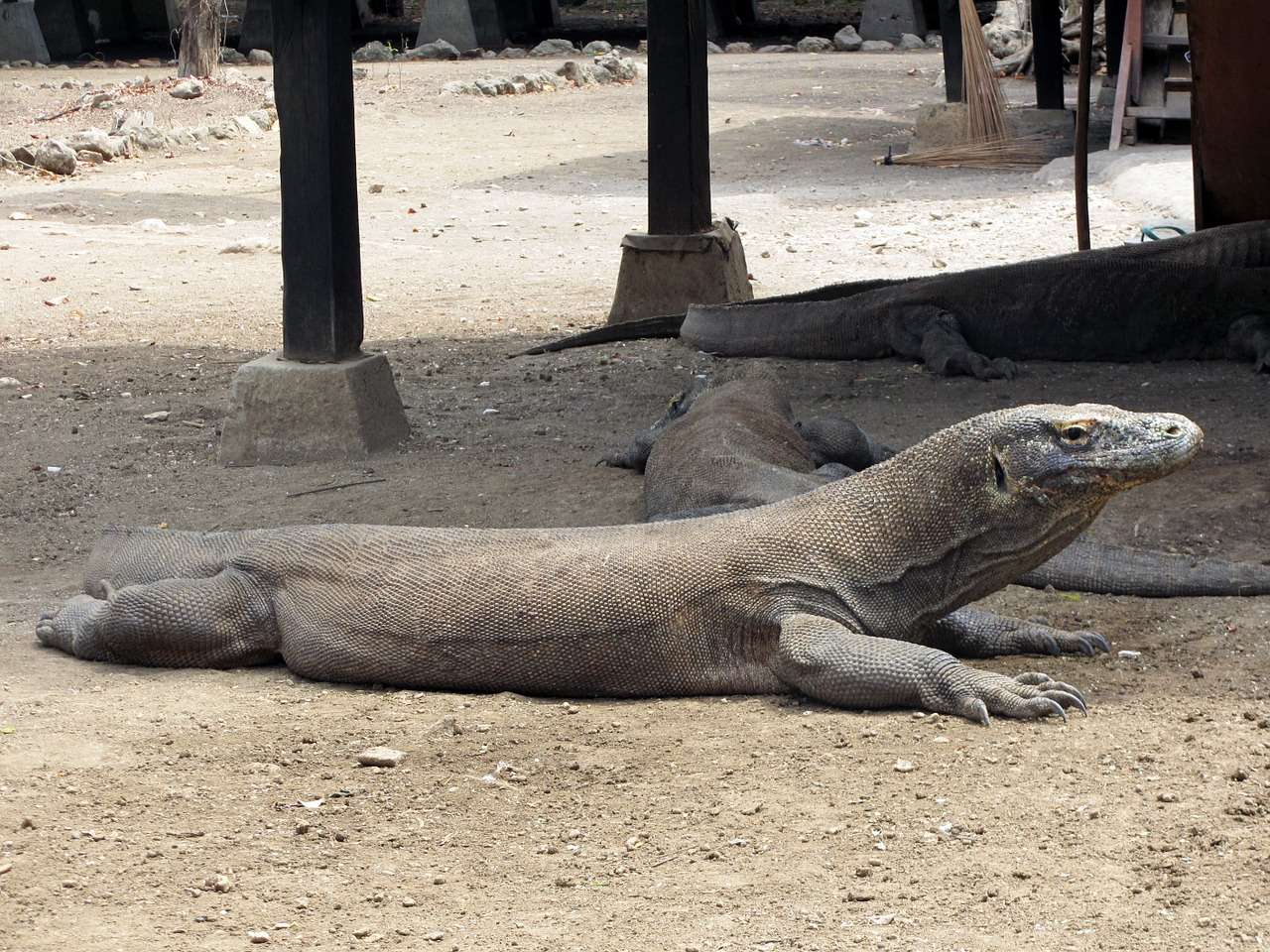 Komodo Island