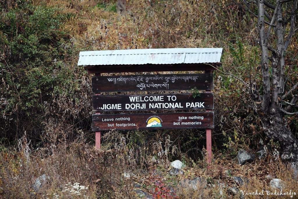 See wildlife at Jigme Dorji National Park