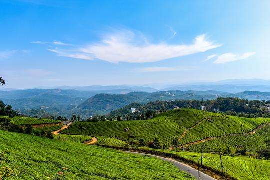 10 Hill Stations Near Munnar {{year}}: With Distance & Best Time
