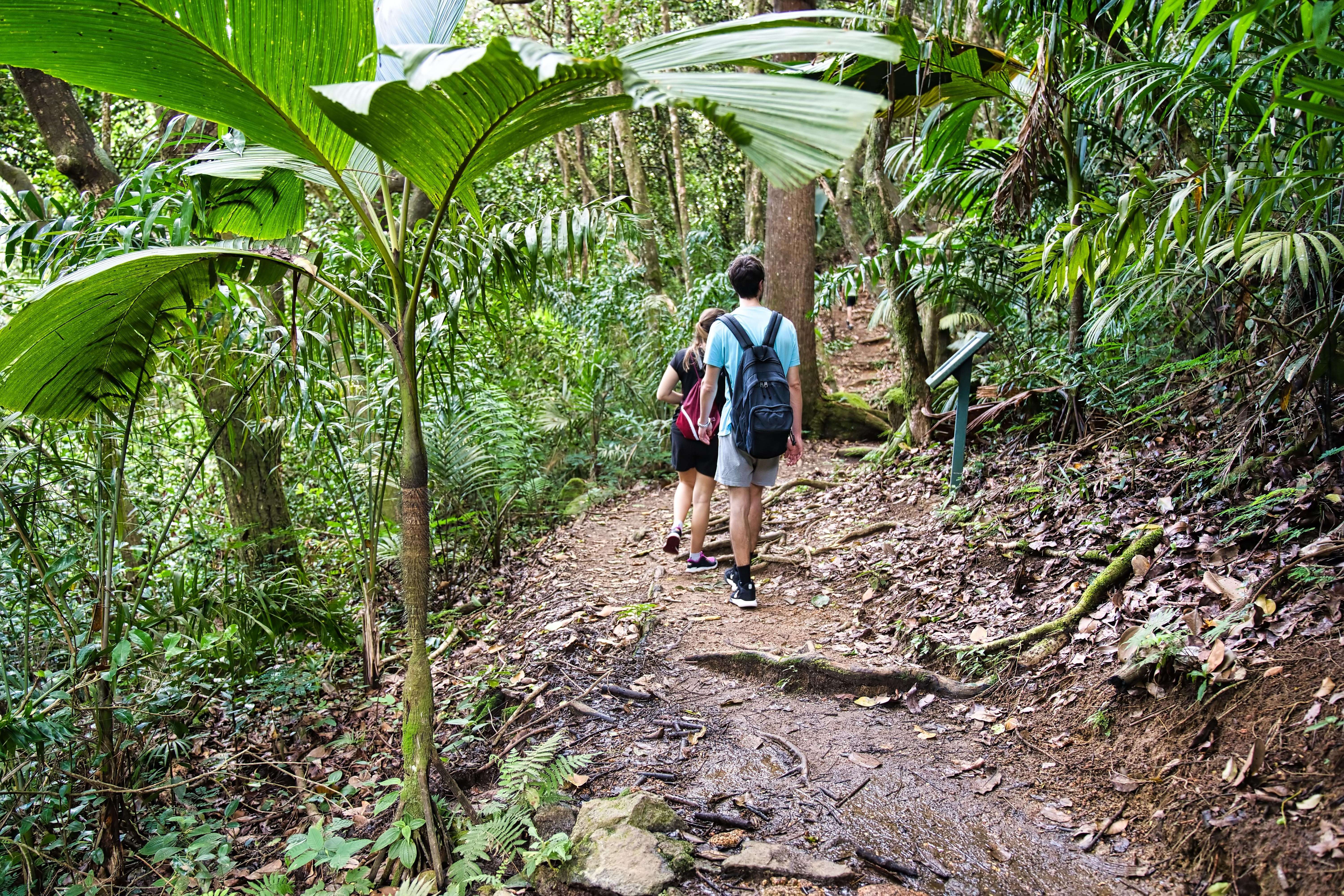 Trek Across The Copolia Trail