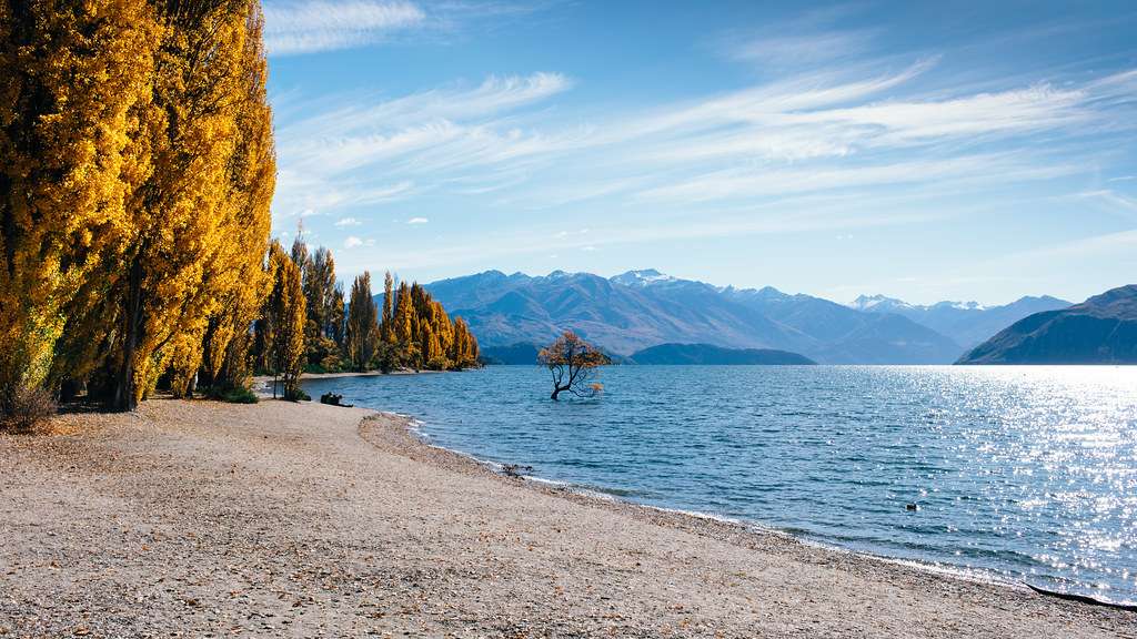 Head to Wanaka Beach