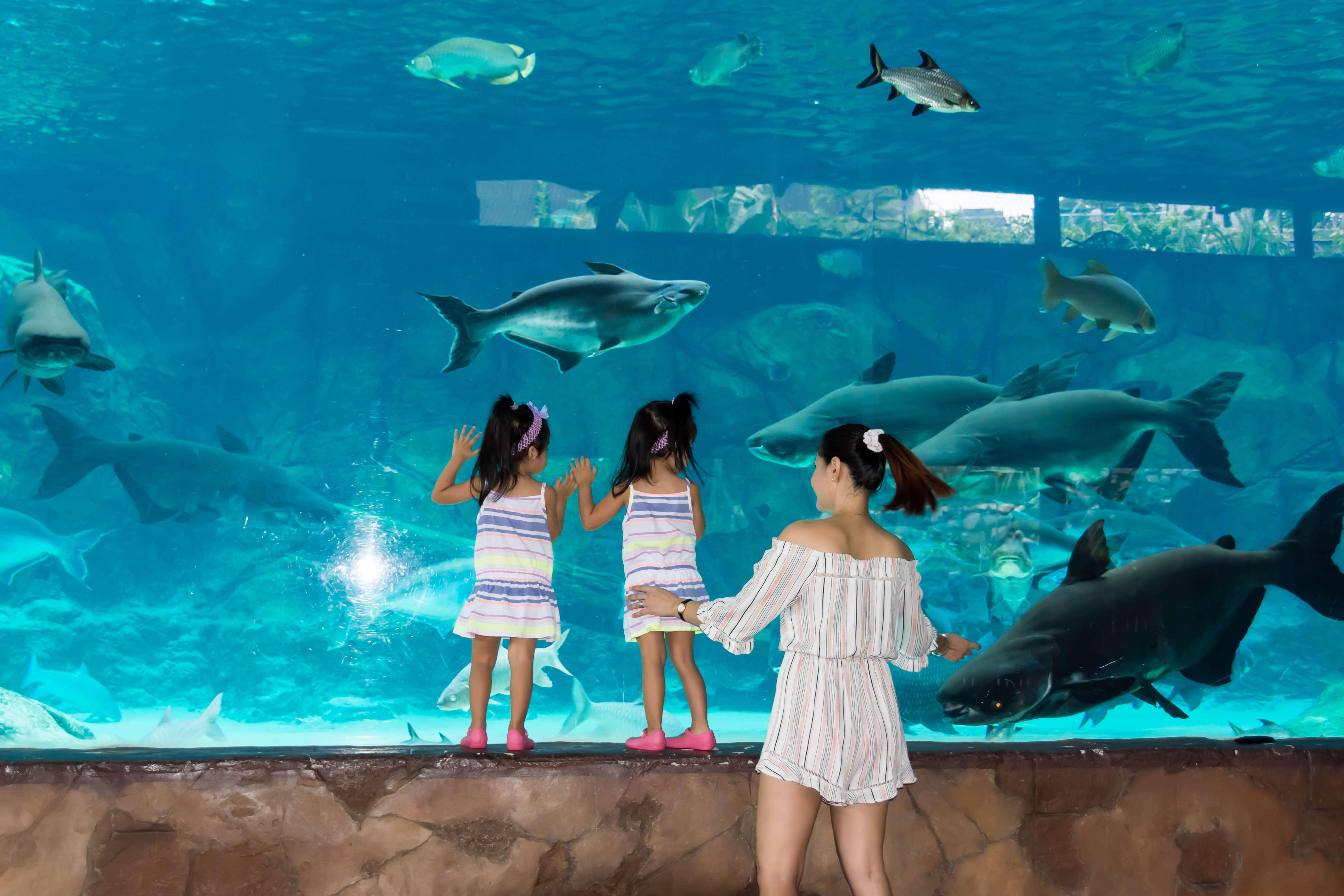 Dine Among Marine Wonders