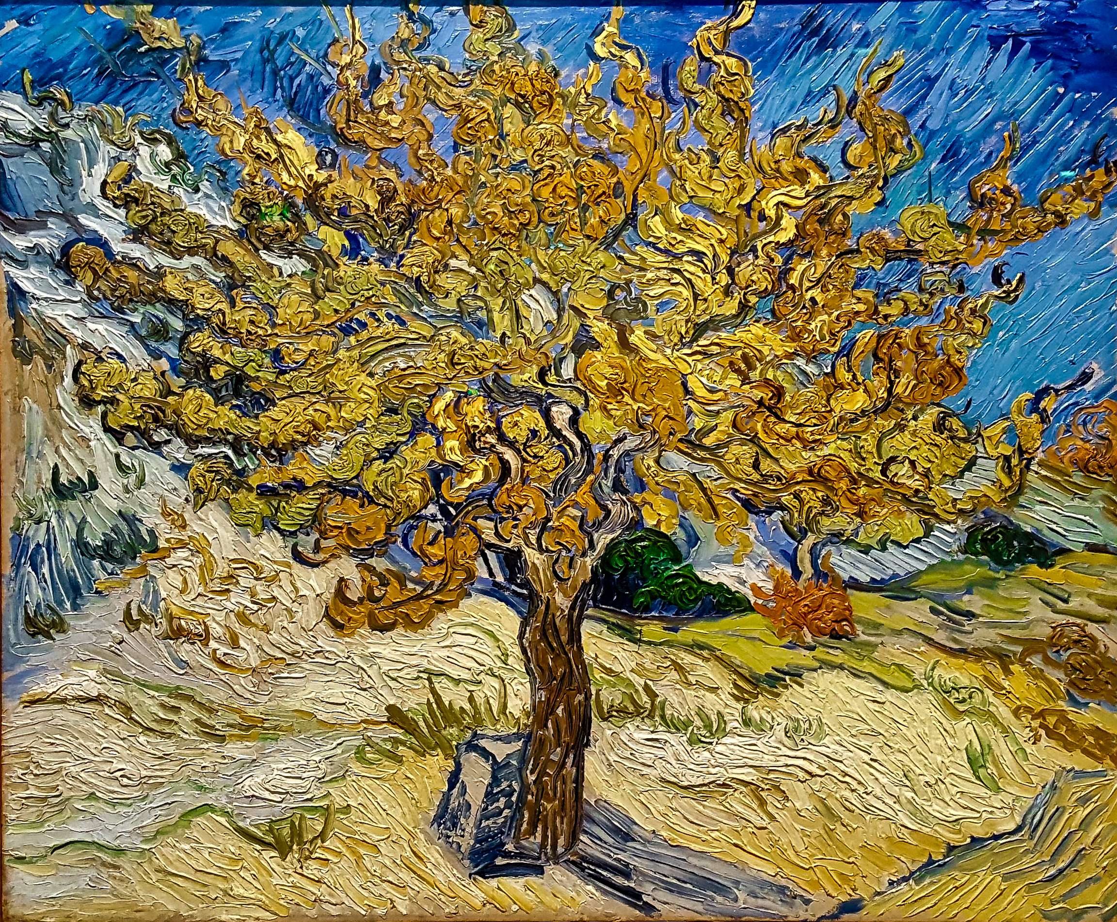 No Sellers For Van Gogh’s Paintings
