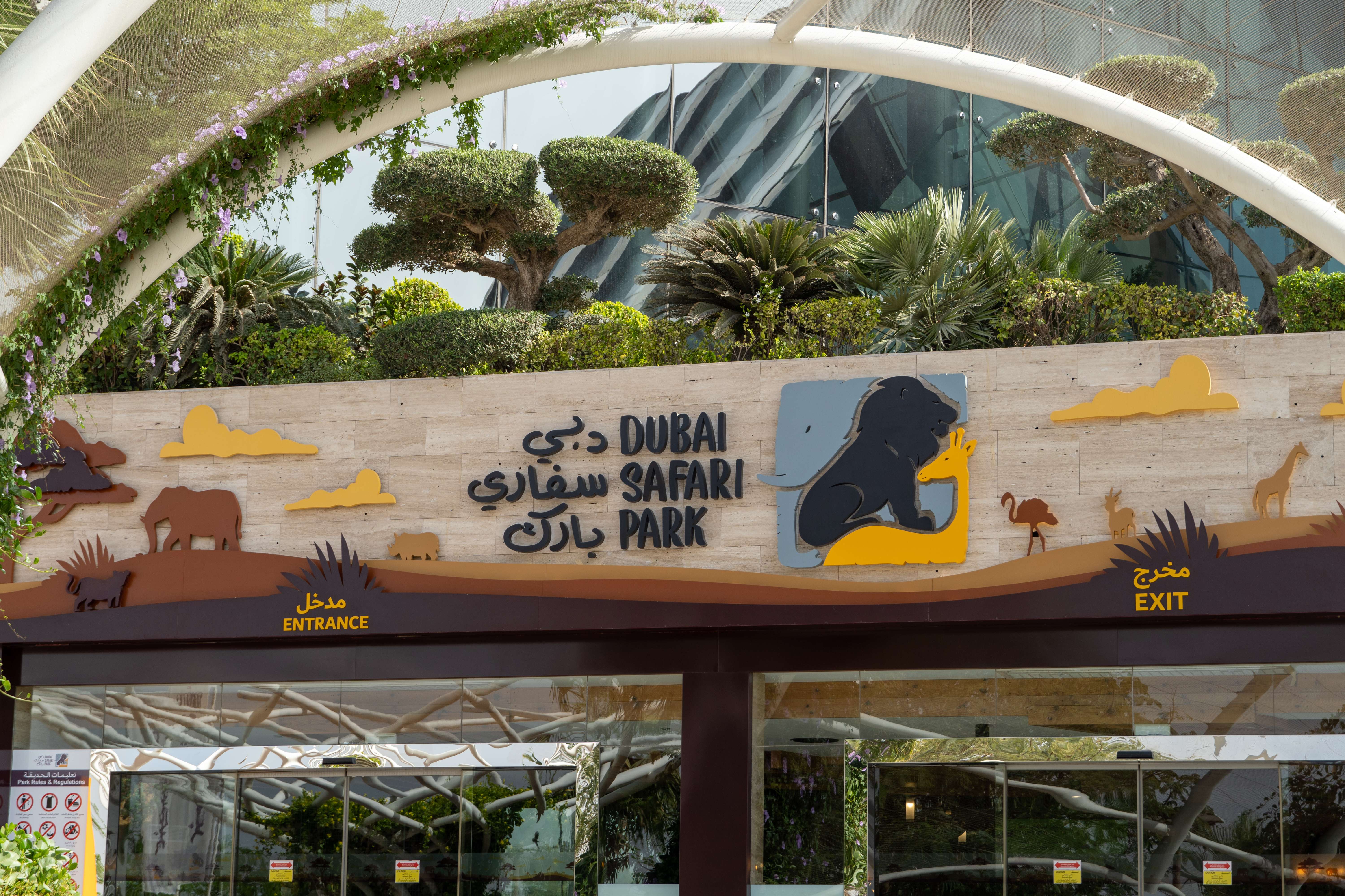 5 Dubai Safari Park Villages For A Unique Wildlife Experience!