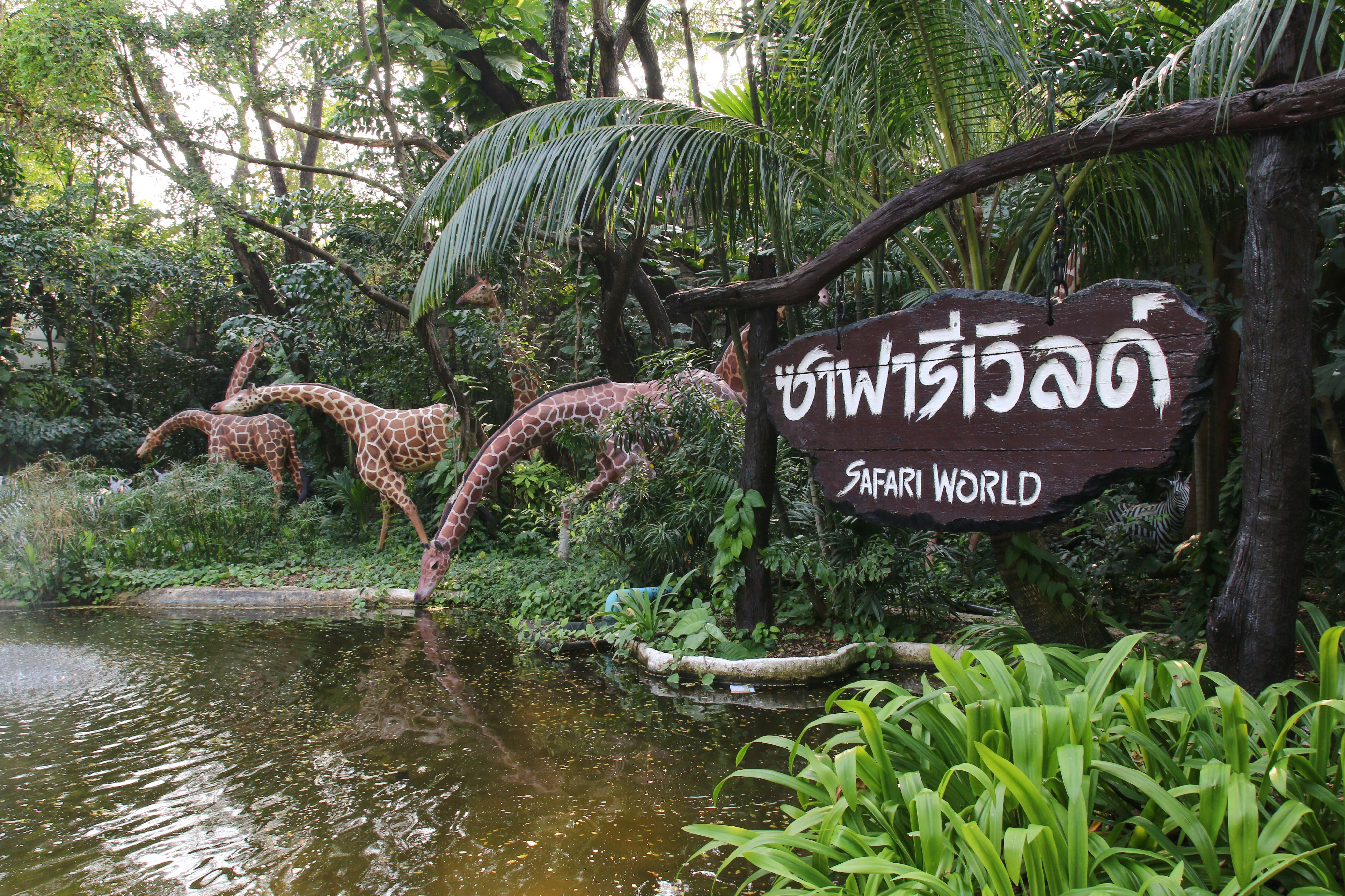 7 Shows in Safari World Bangkok That You Shouldn't Miss!