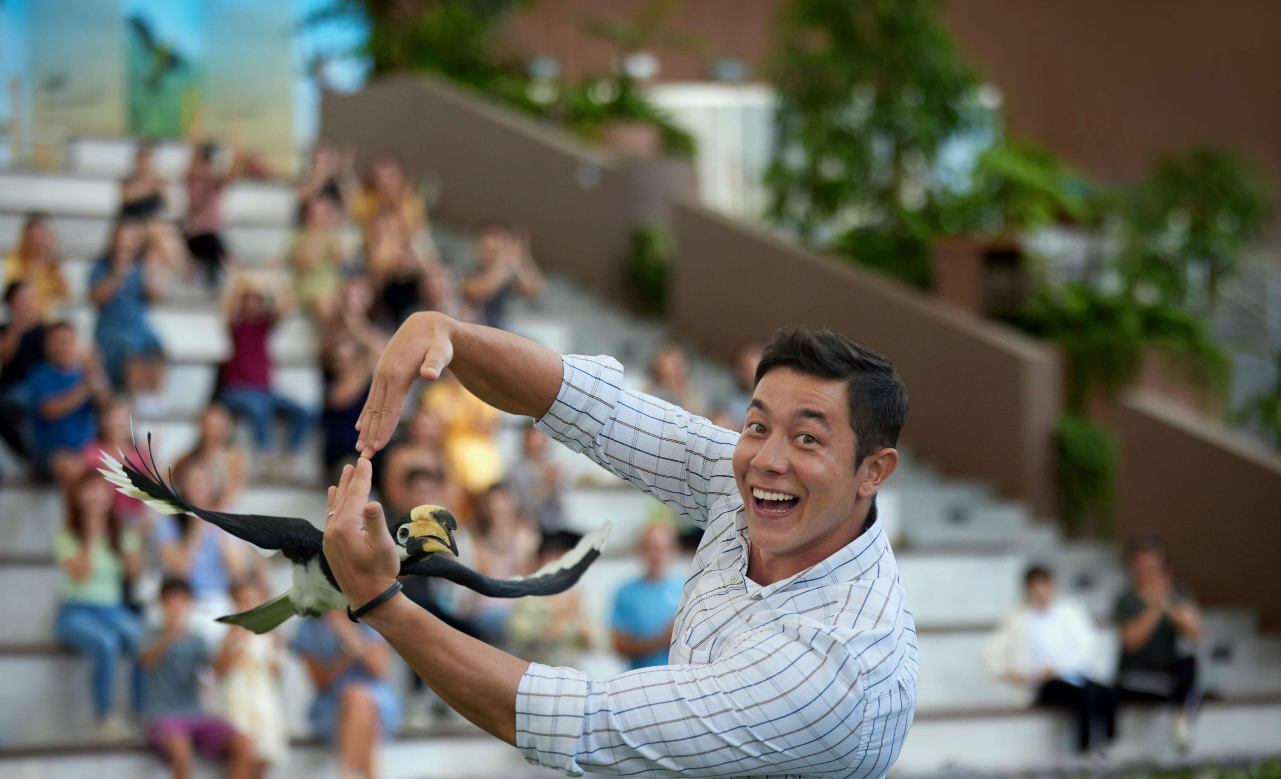 The Avian Spectacle at Sky Amphitheatre