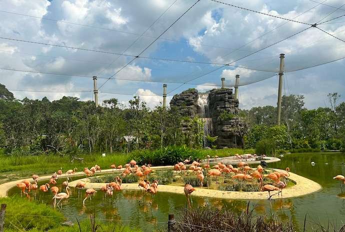 Hong Leong Foundation Crimson Wetlands