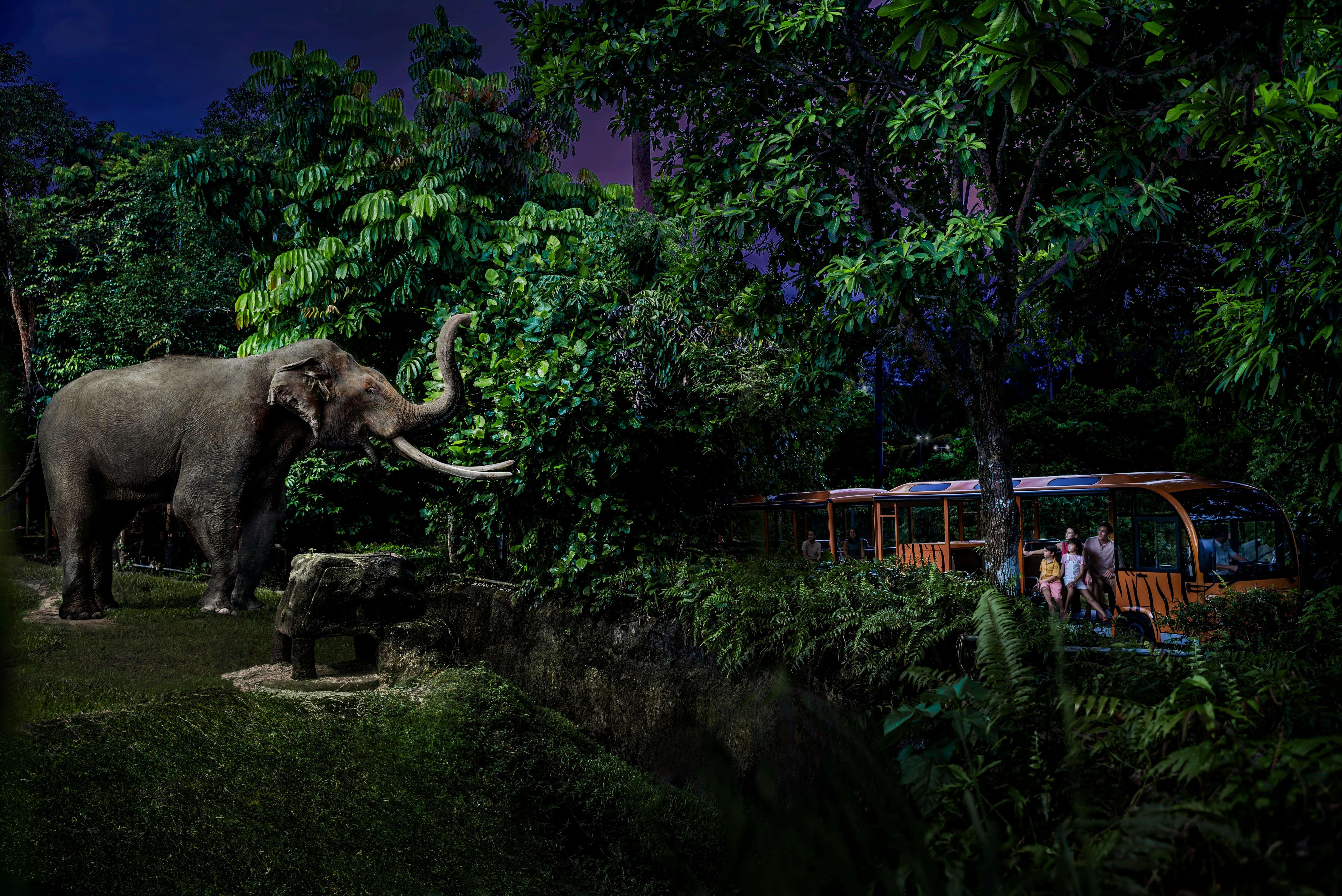 Nothing Is Visible Without Night-Vision Goggles