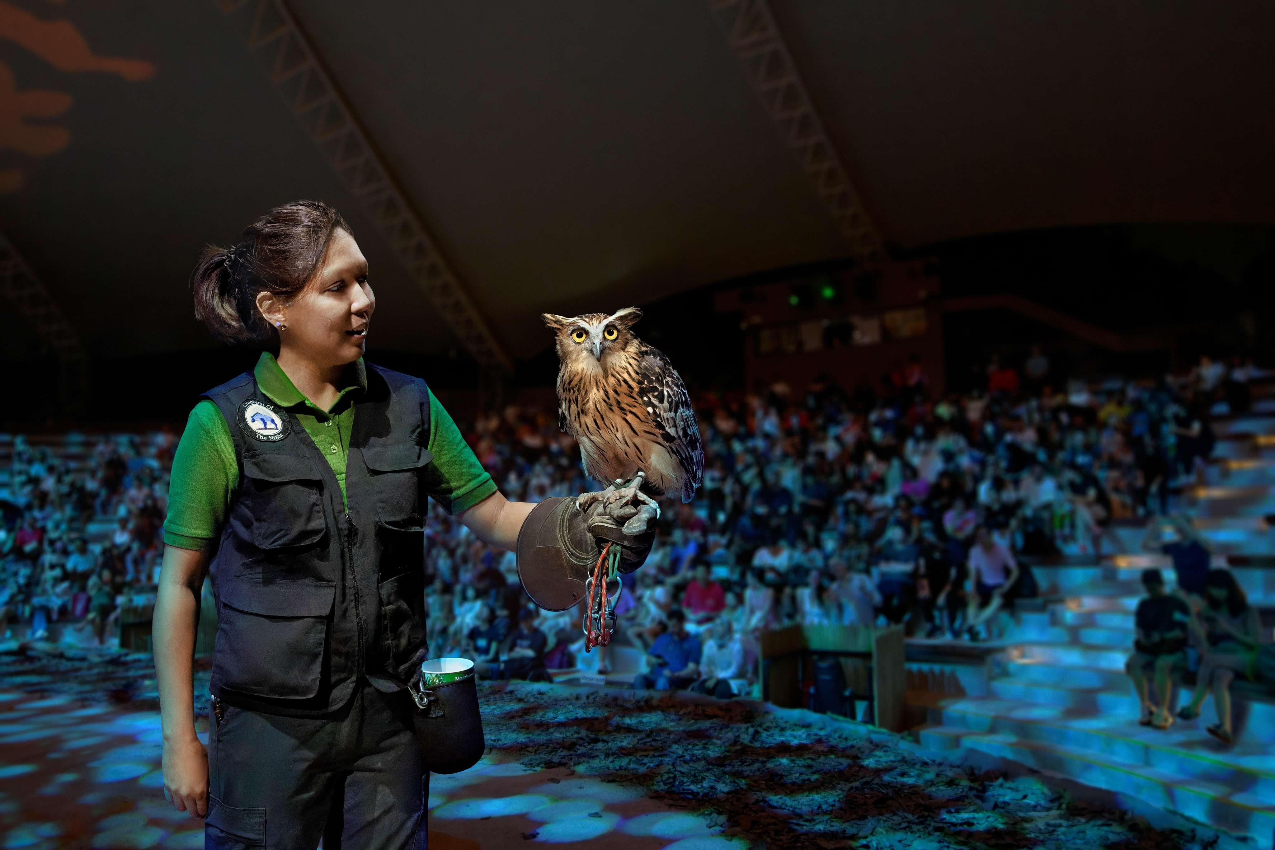 Limited Availability of Tourist Activities