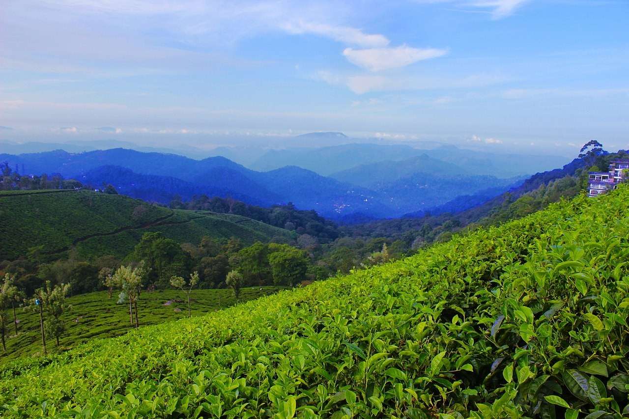 Munnar