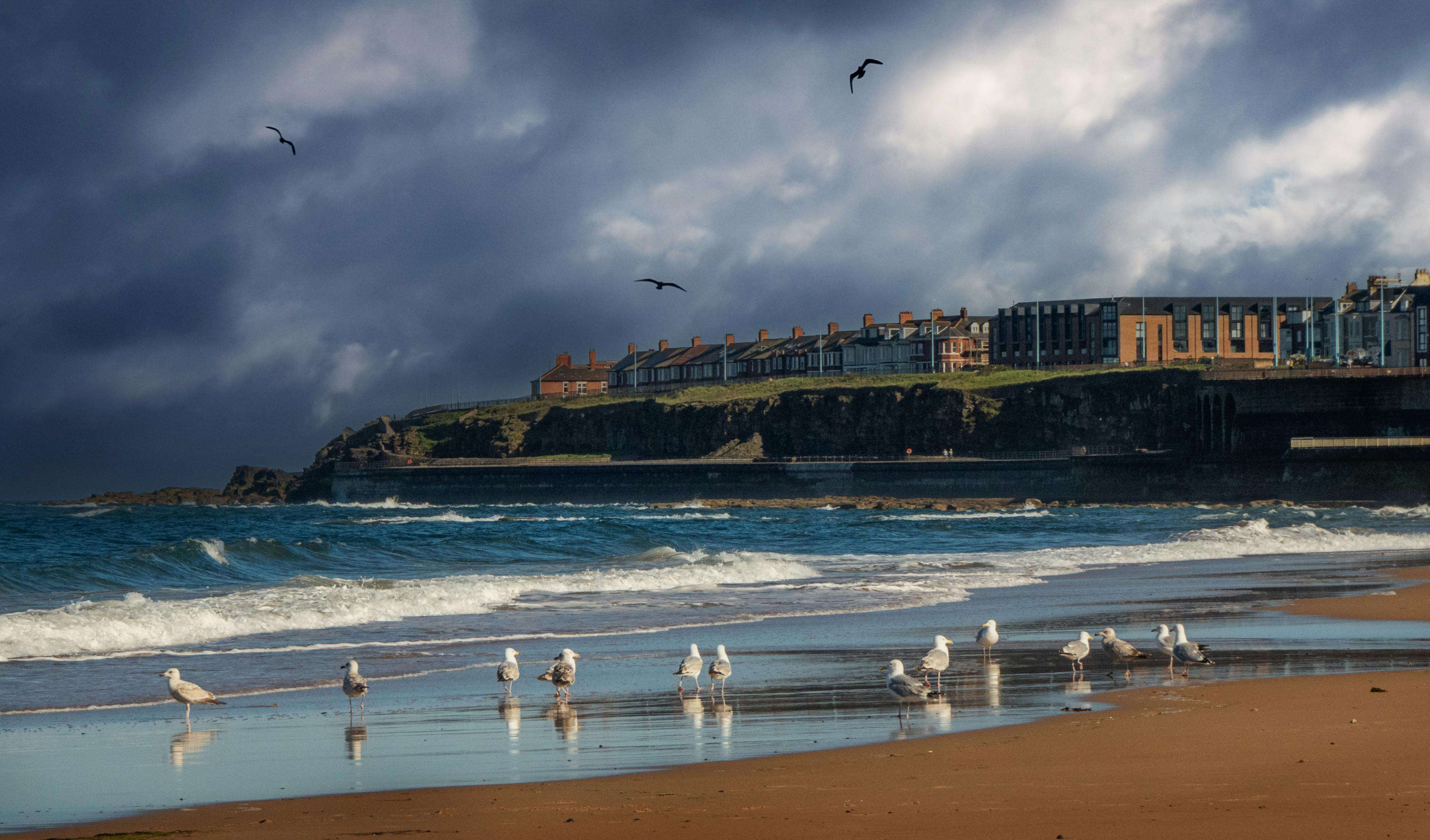  Finland’s Bird-Watching Adventures