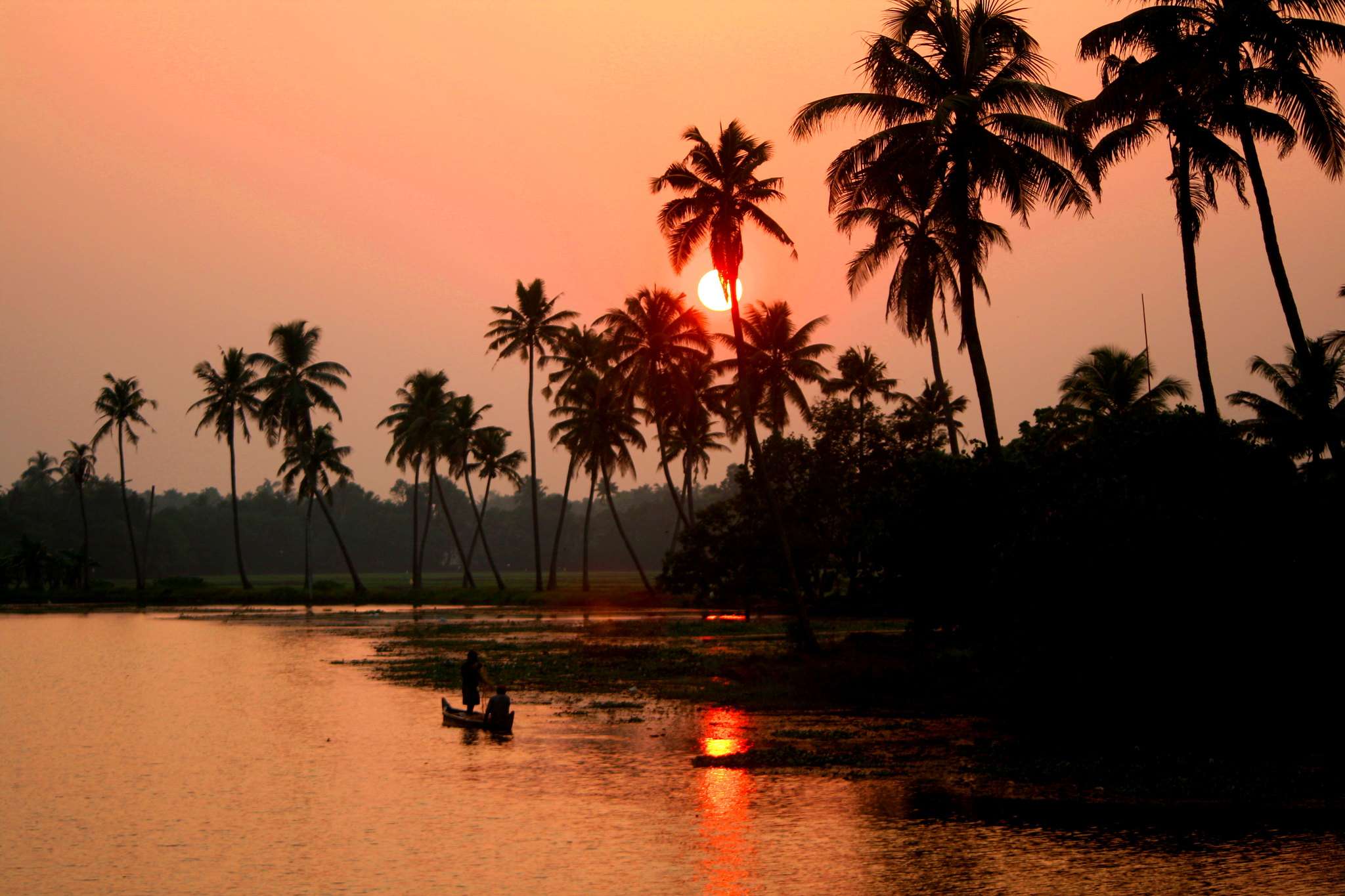 Kerala in January: Weather, What to Pack & Places to Visit