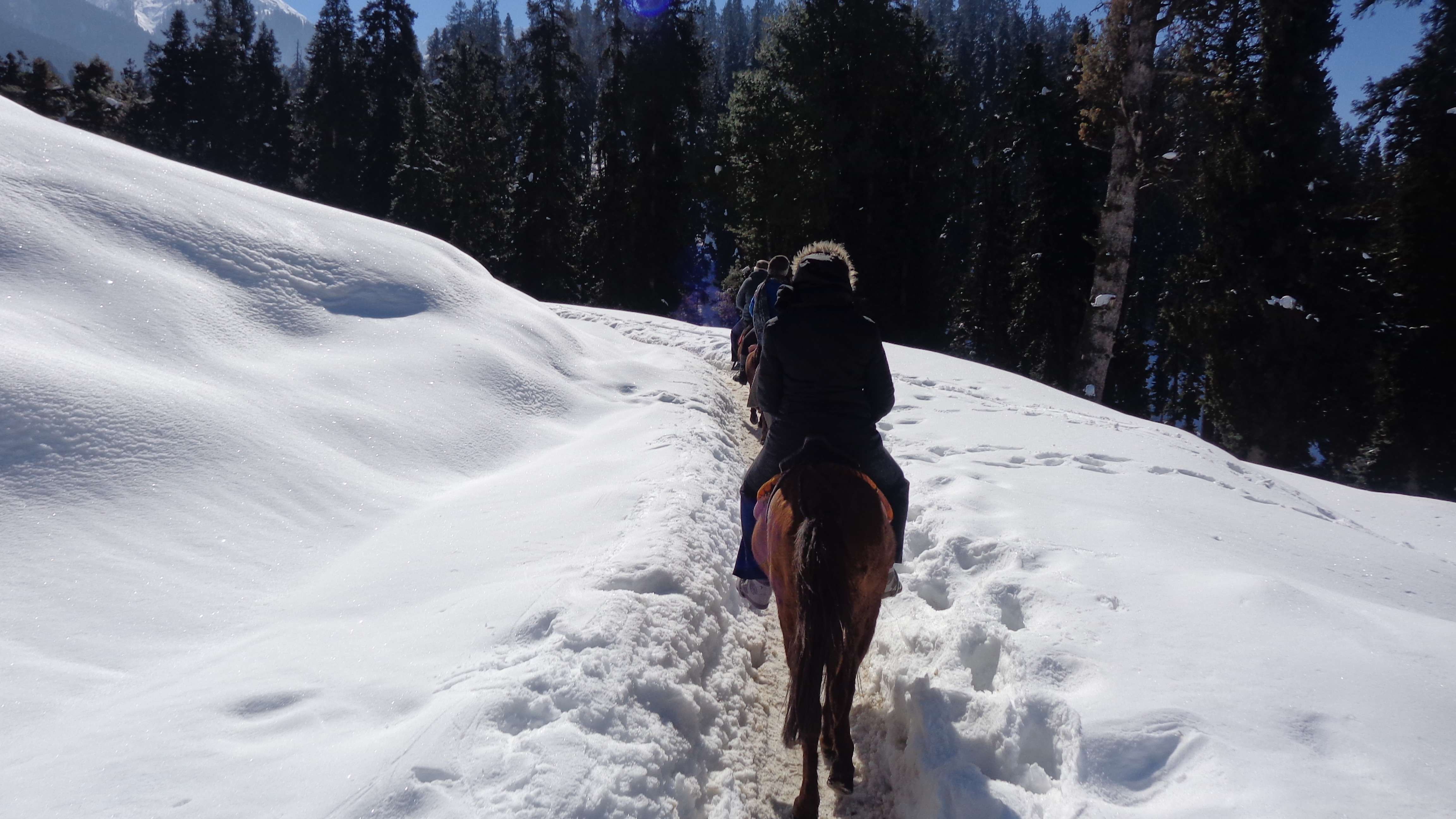 Experience the Charm of Horse Riding in Gulmarg