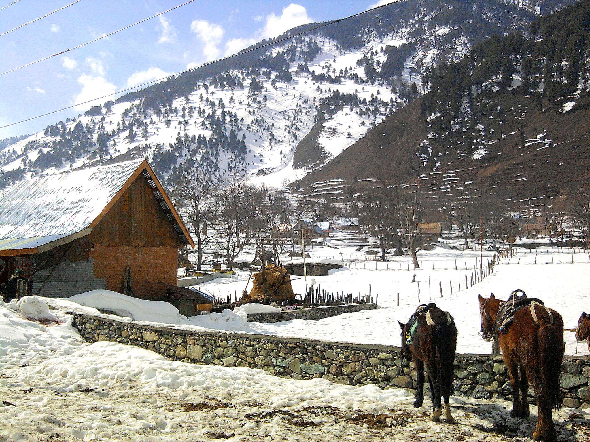 Pony Ride in Gulmarg