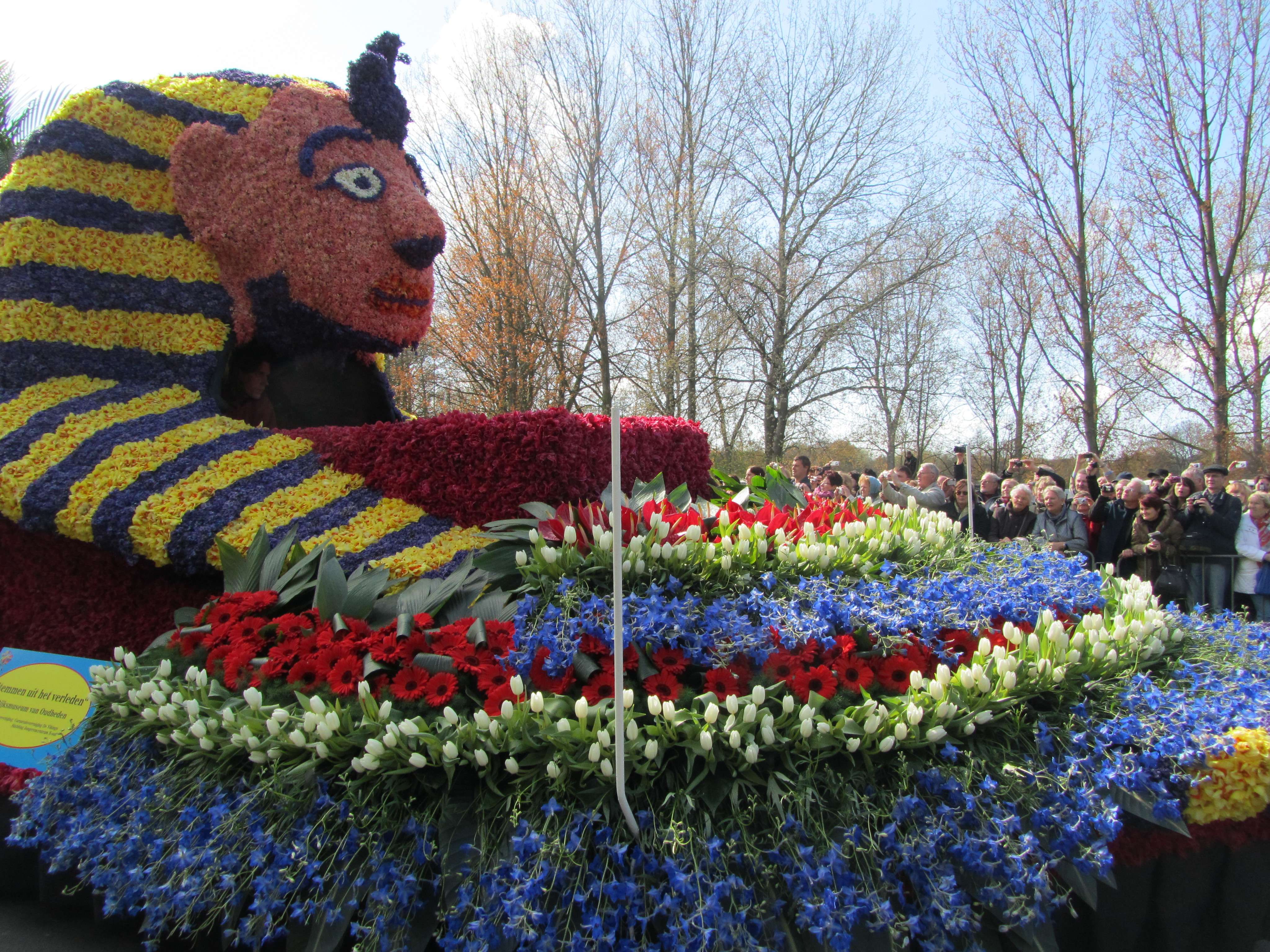 Attend a Flower Parade