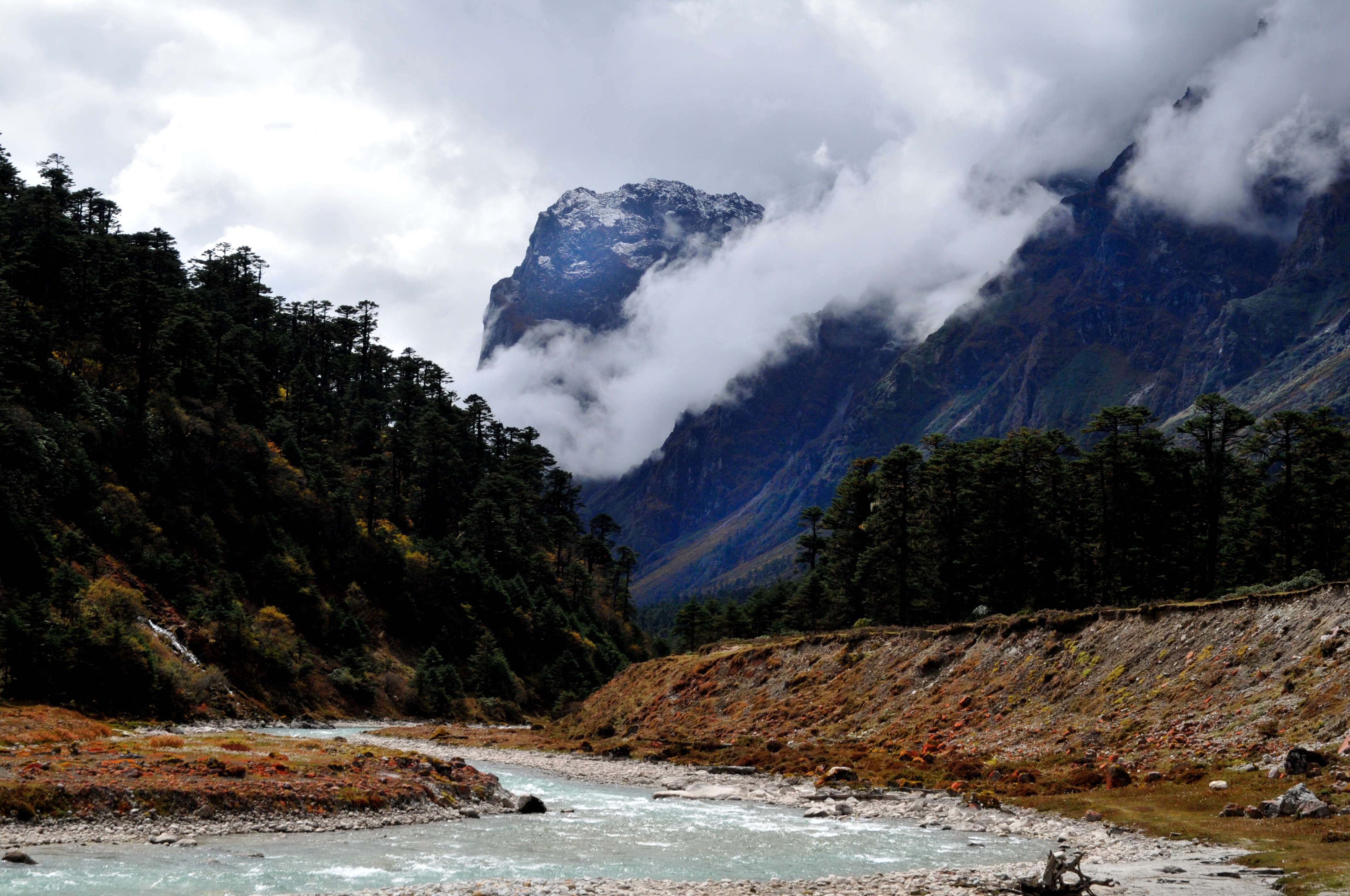 Visit The Picturesque Yumthang Valley