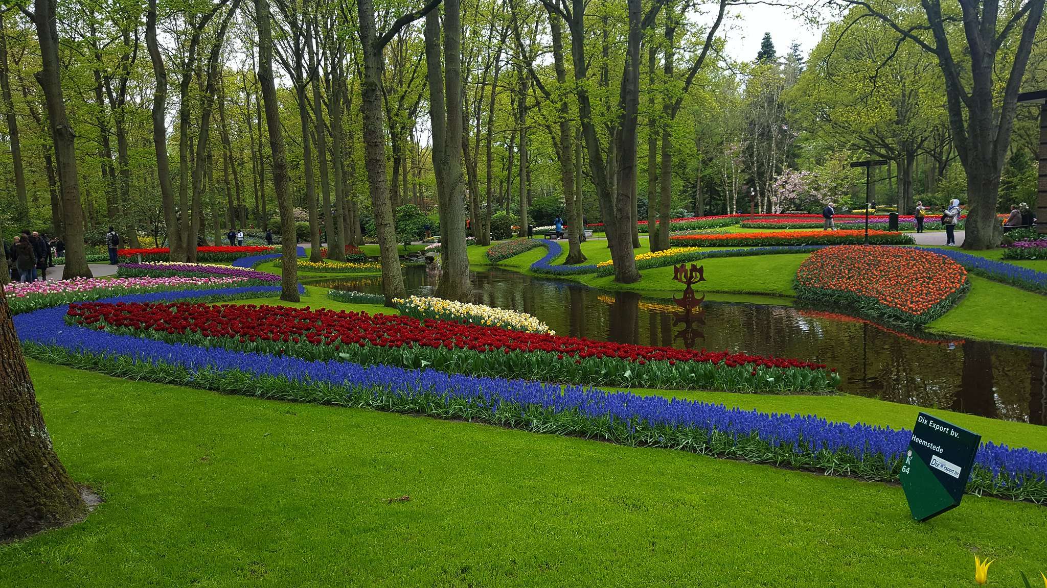 Best Time to Go to Keukenhof: When to See the Tulips in Peak Bloom