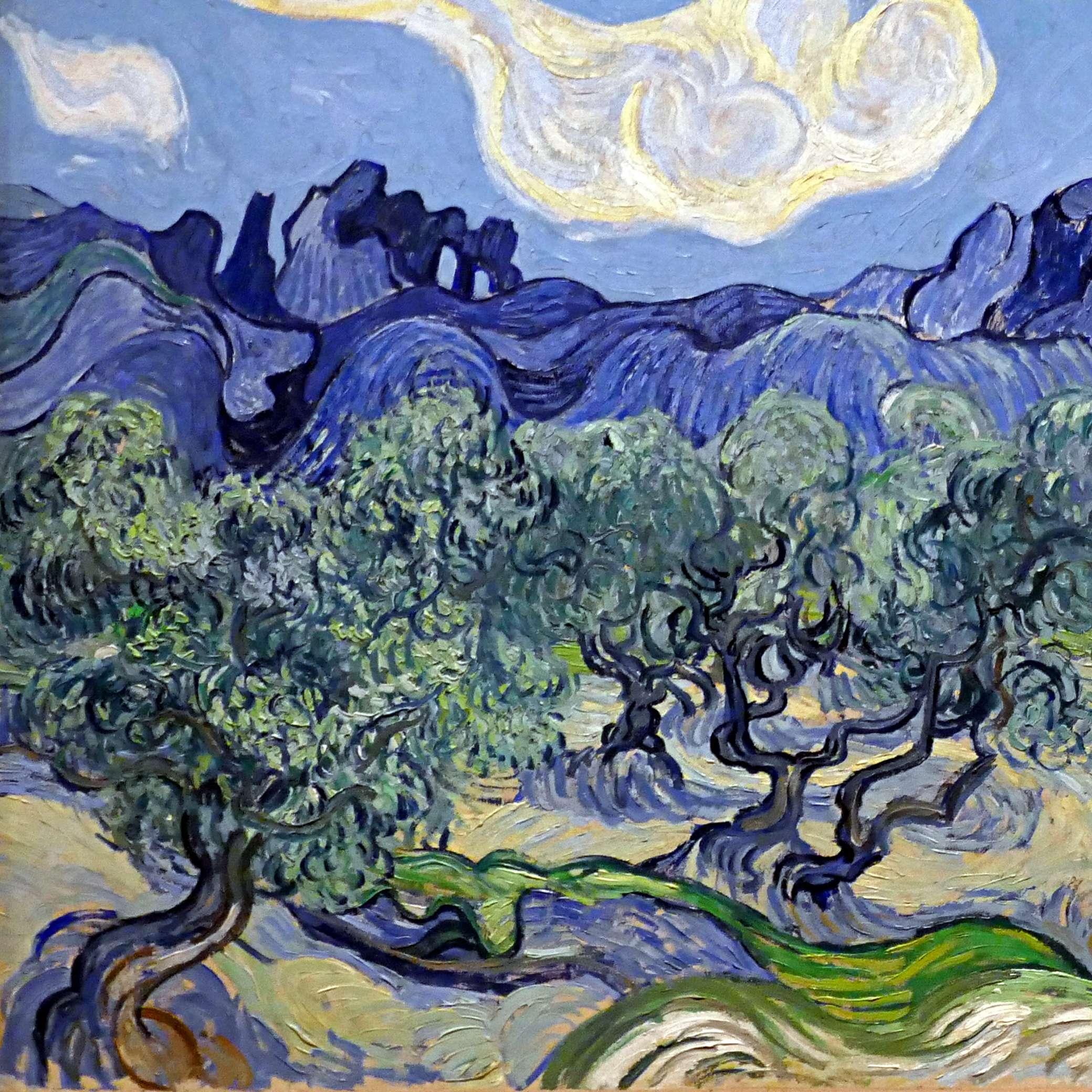 Explore World’s Largest Collection