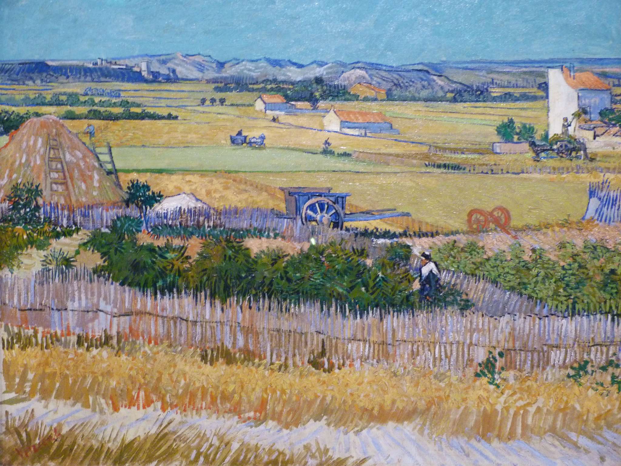 Dive Into Van Gogh’s World