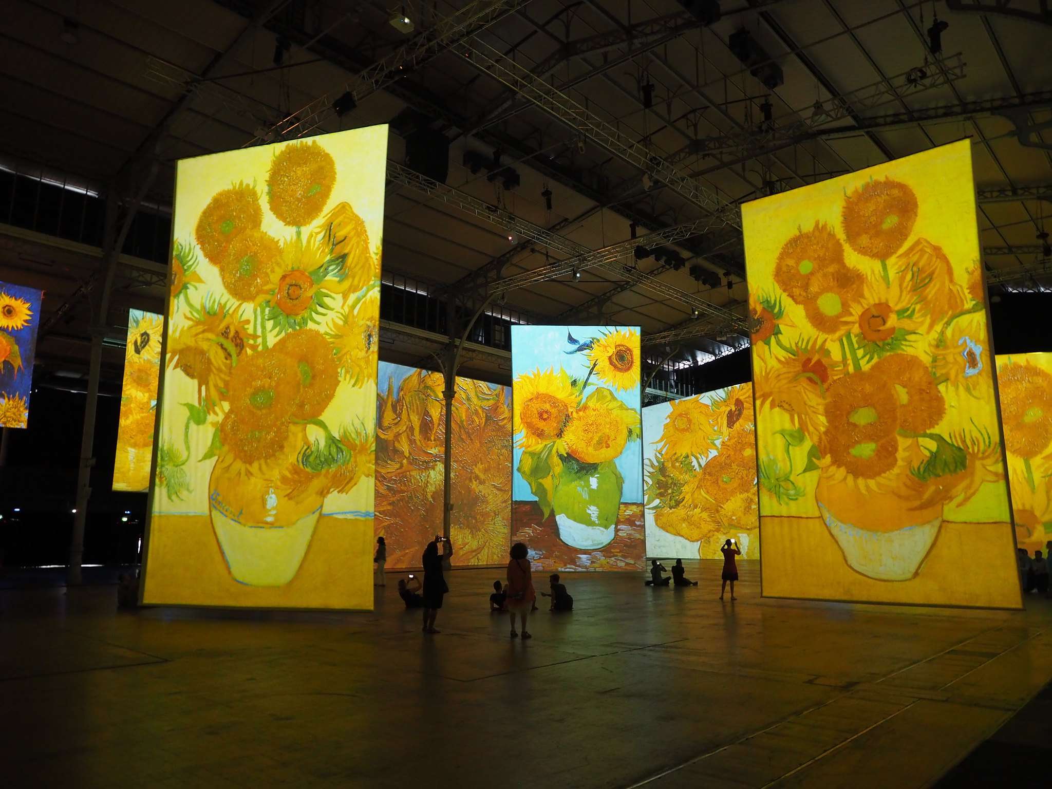 Experience Special Exhibitions