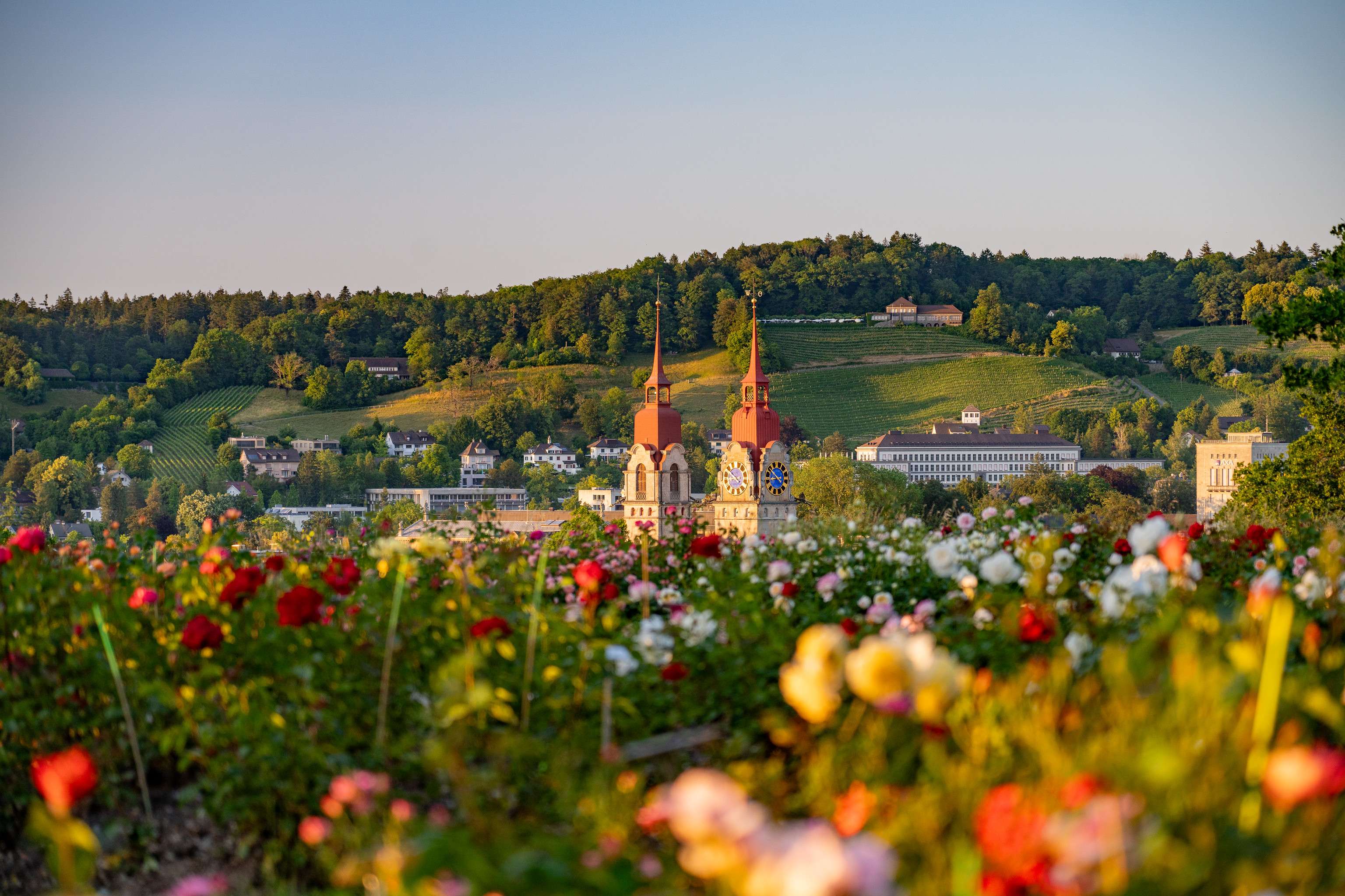 Stroll through Rosengarten