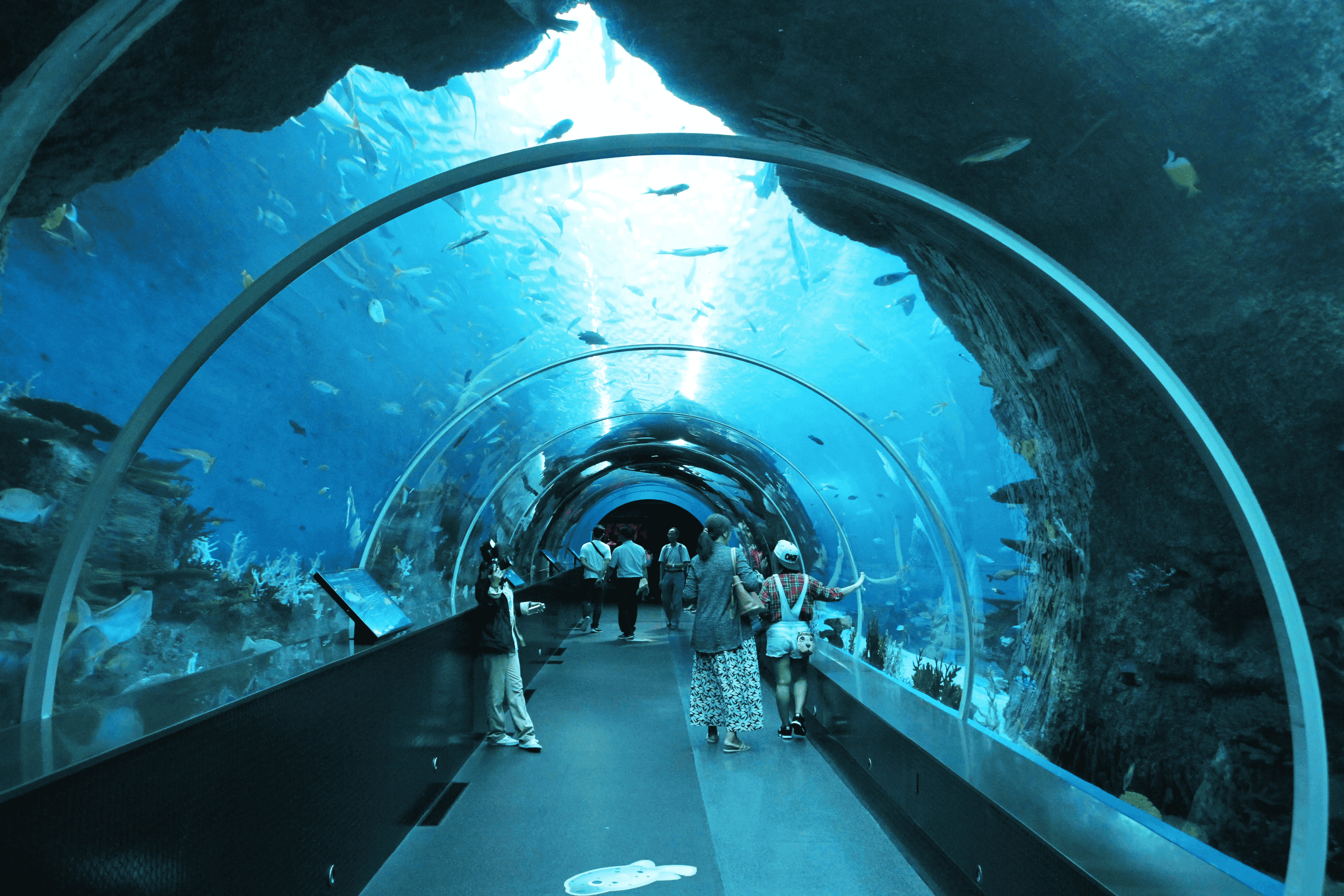 The Underwater Zoo Houses Over 140 Species of Aquatic Animals